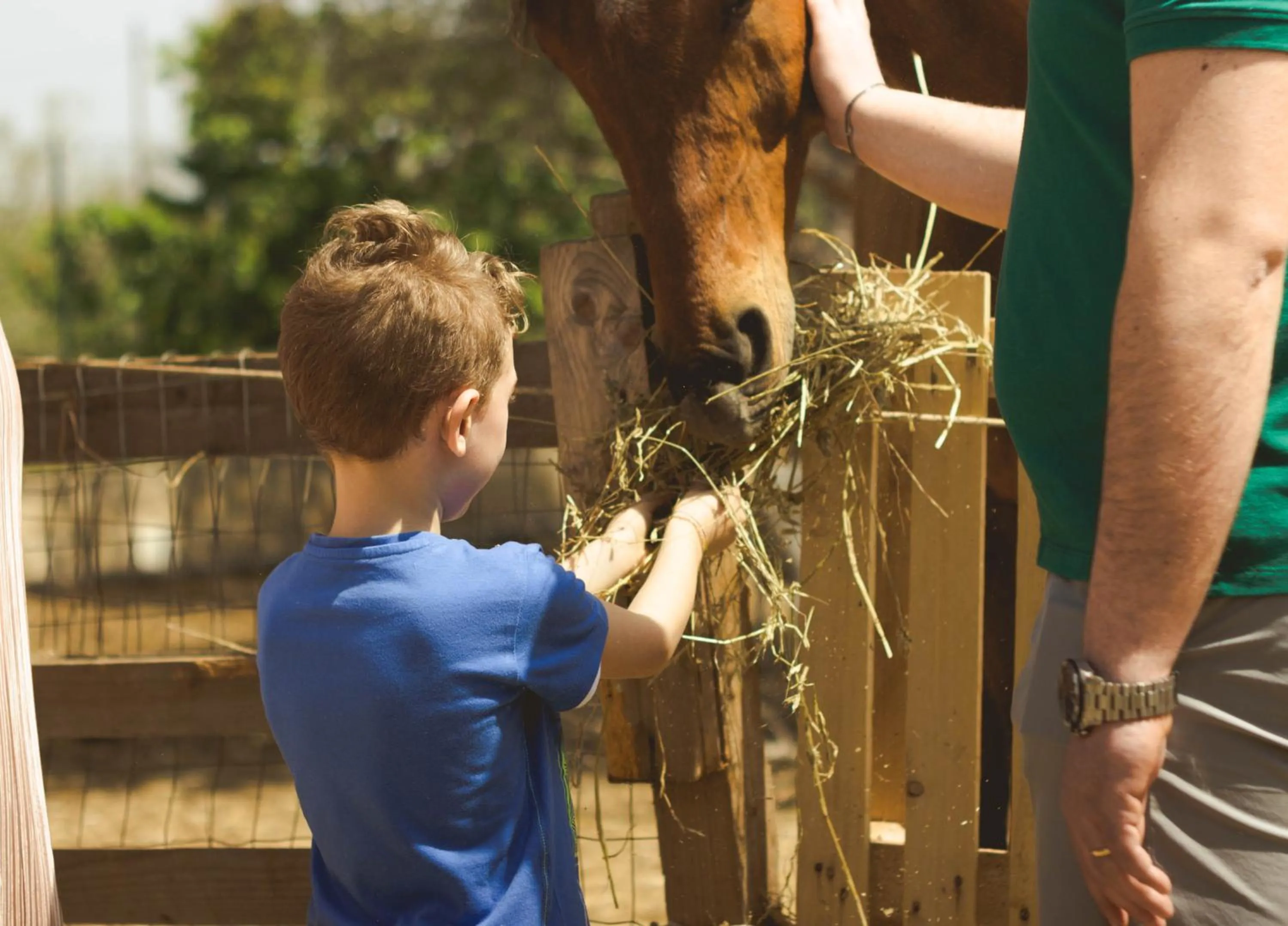 children in Casale Torre San Magno