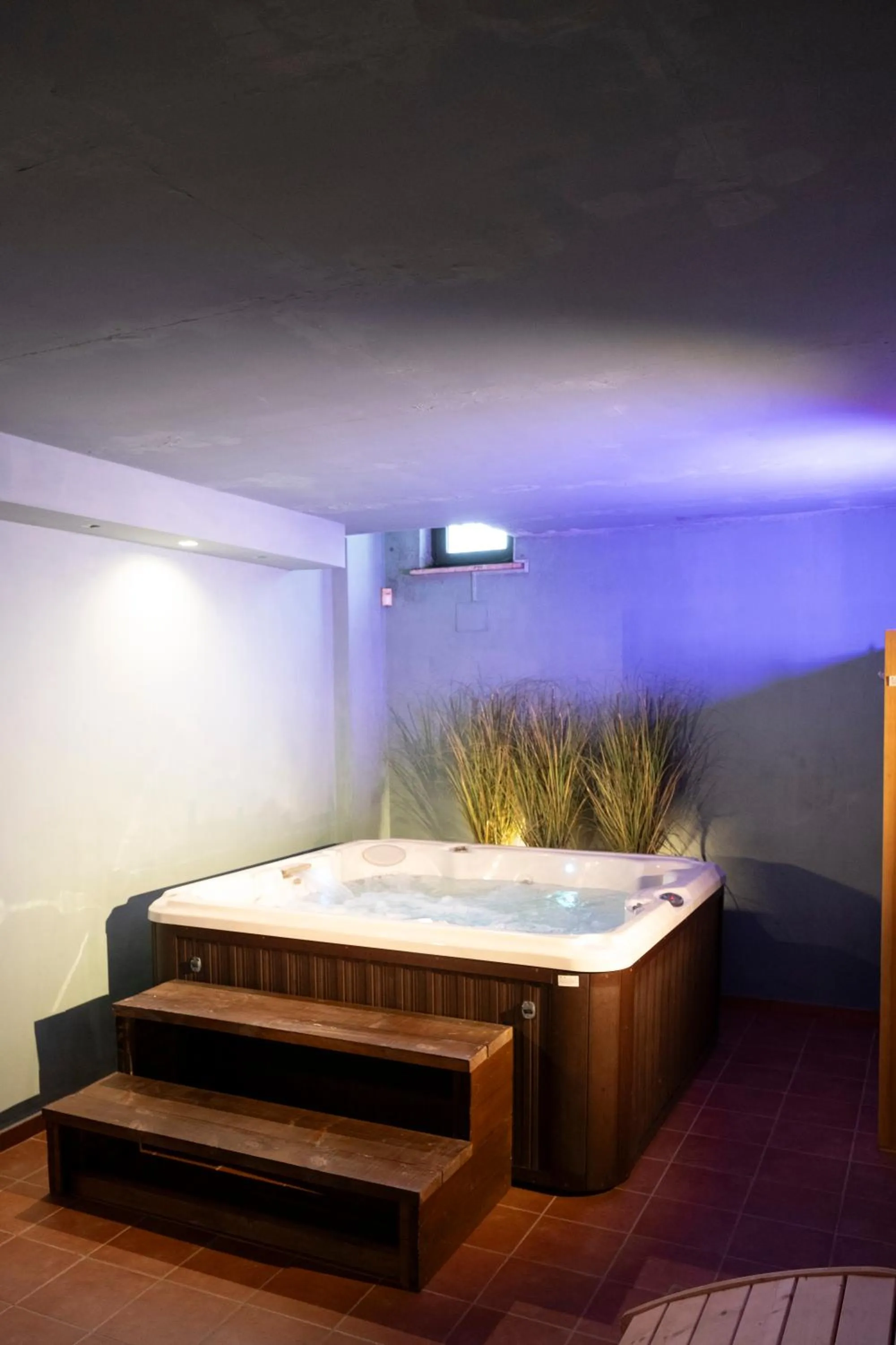 Spa and wellness centre/facilities in Casale Torre San Magno