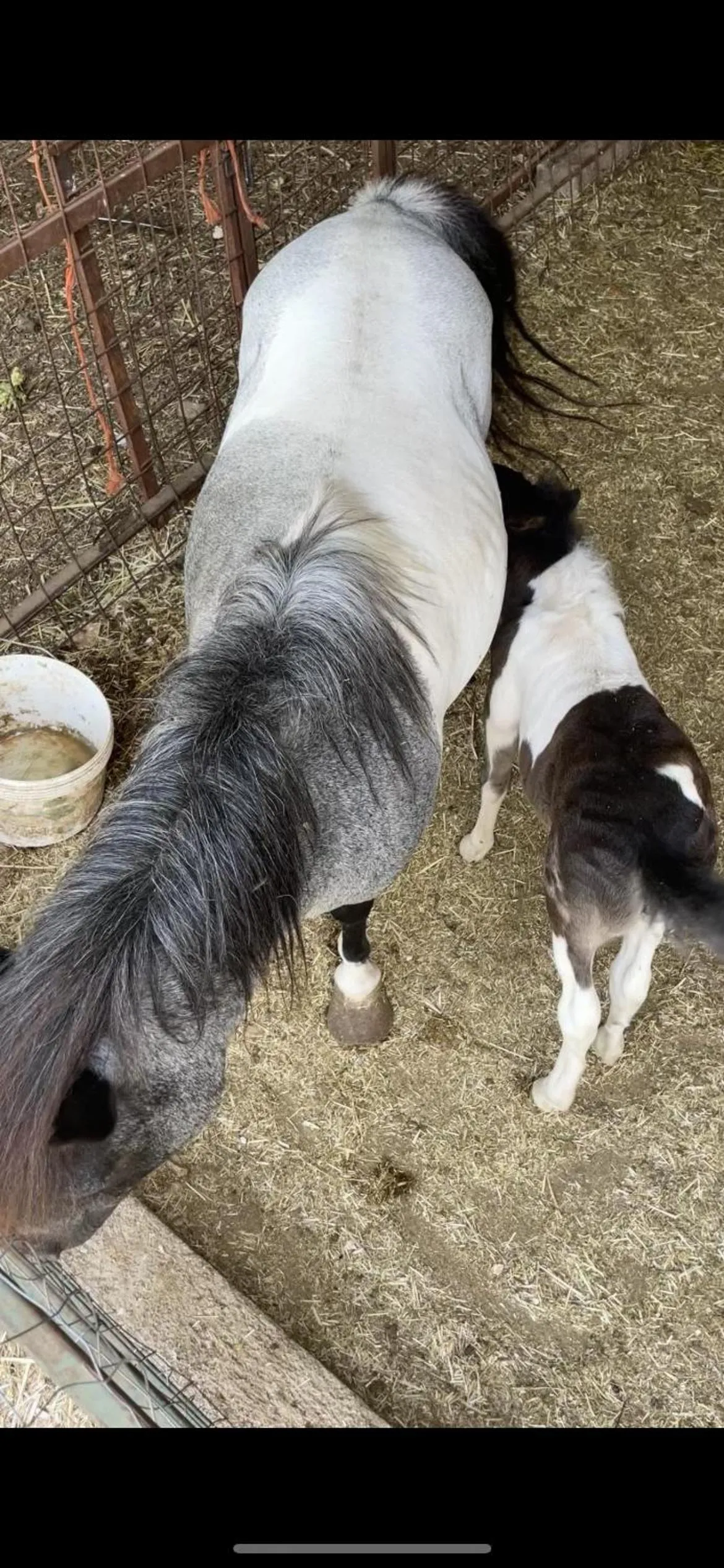 Casale Torre San Magno