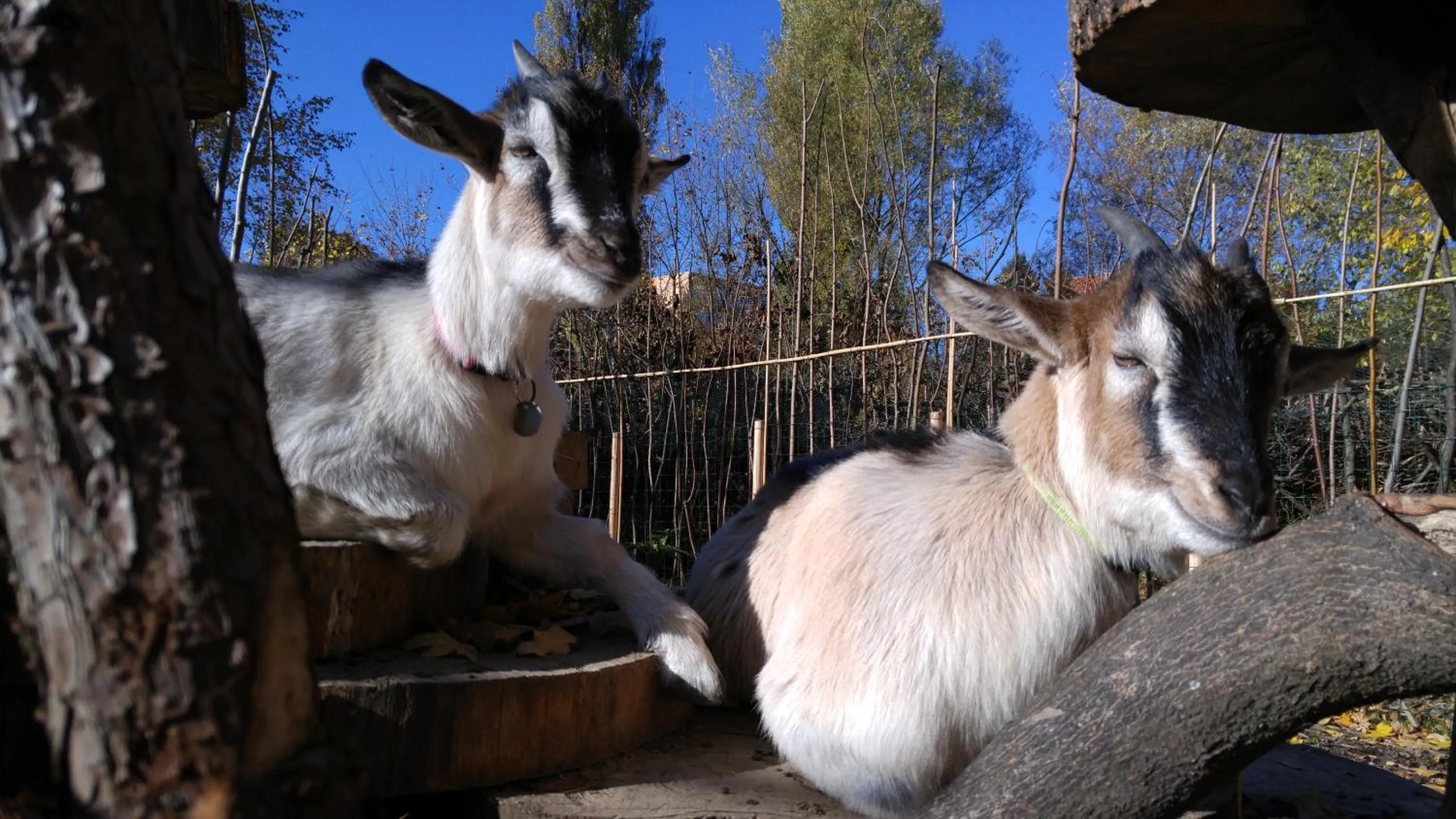 Children play ground in Apartmá SunGarden Liberec