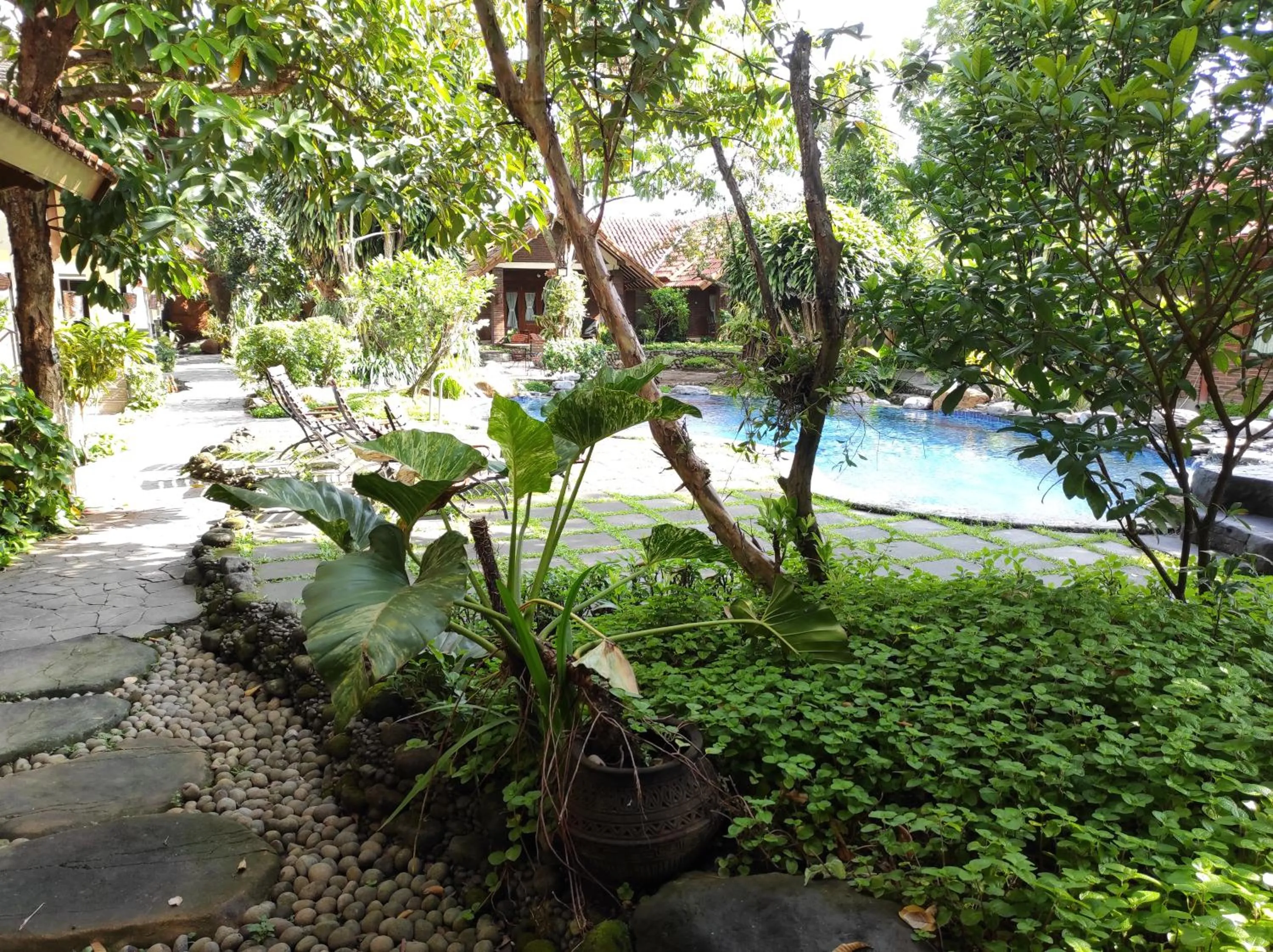 Swimming pool in Duta Boutique Villa