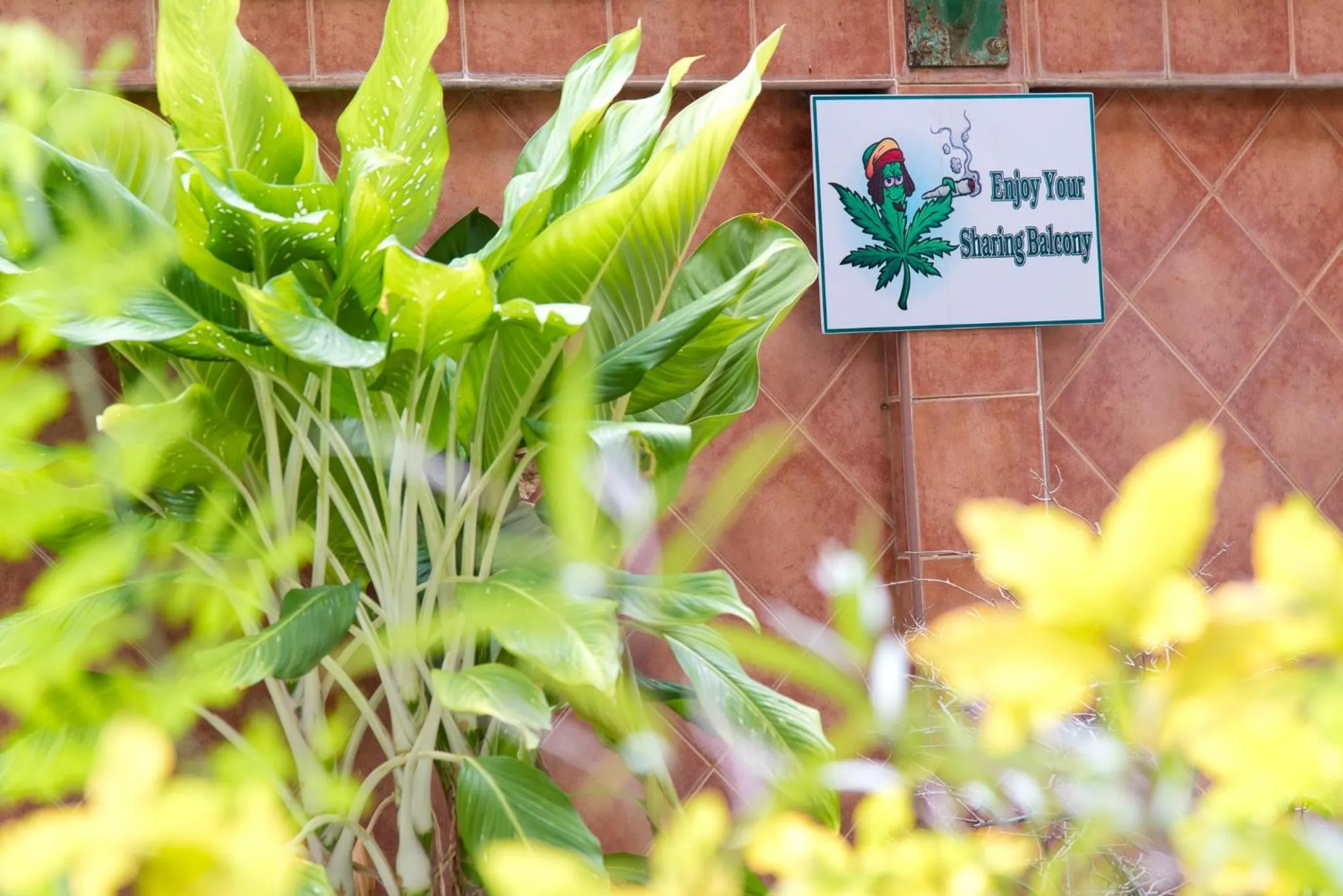 Garden in Hua Hin Loft