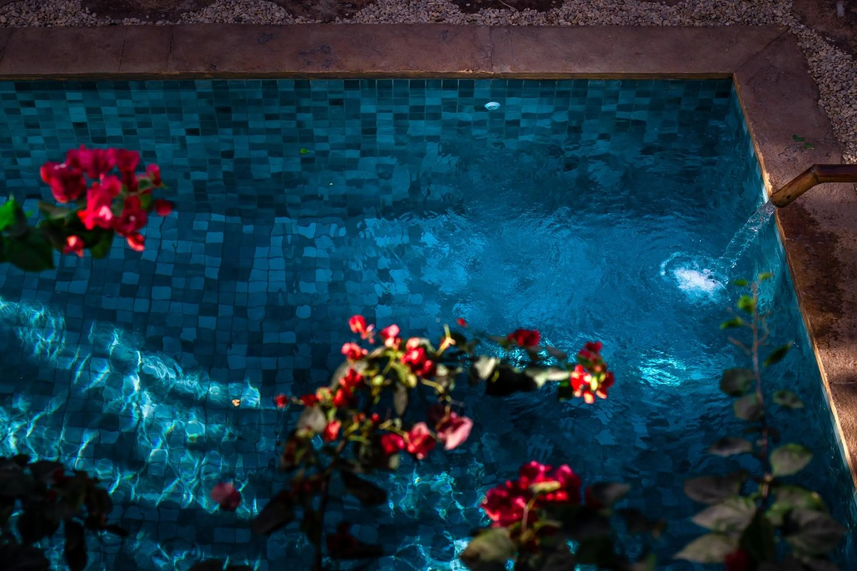 Natural landscape in CasaLô Hotel