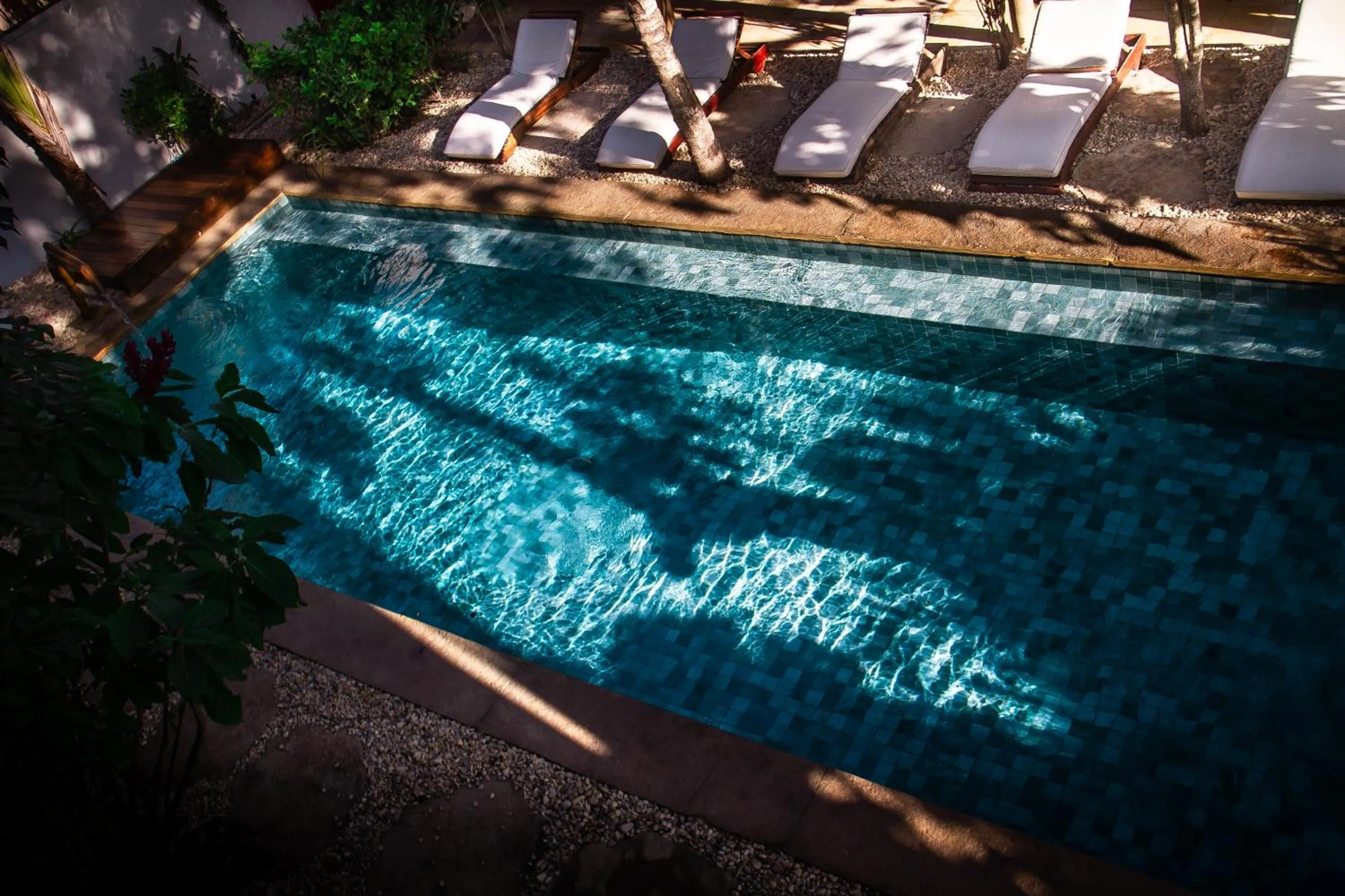 Day in CasaLô Hotel