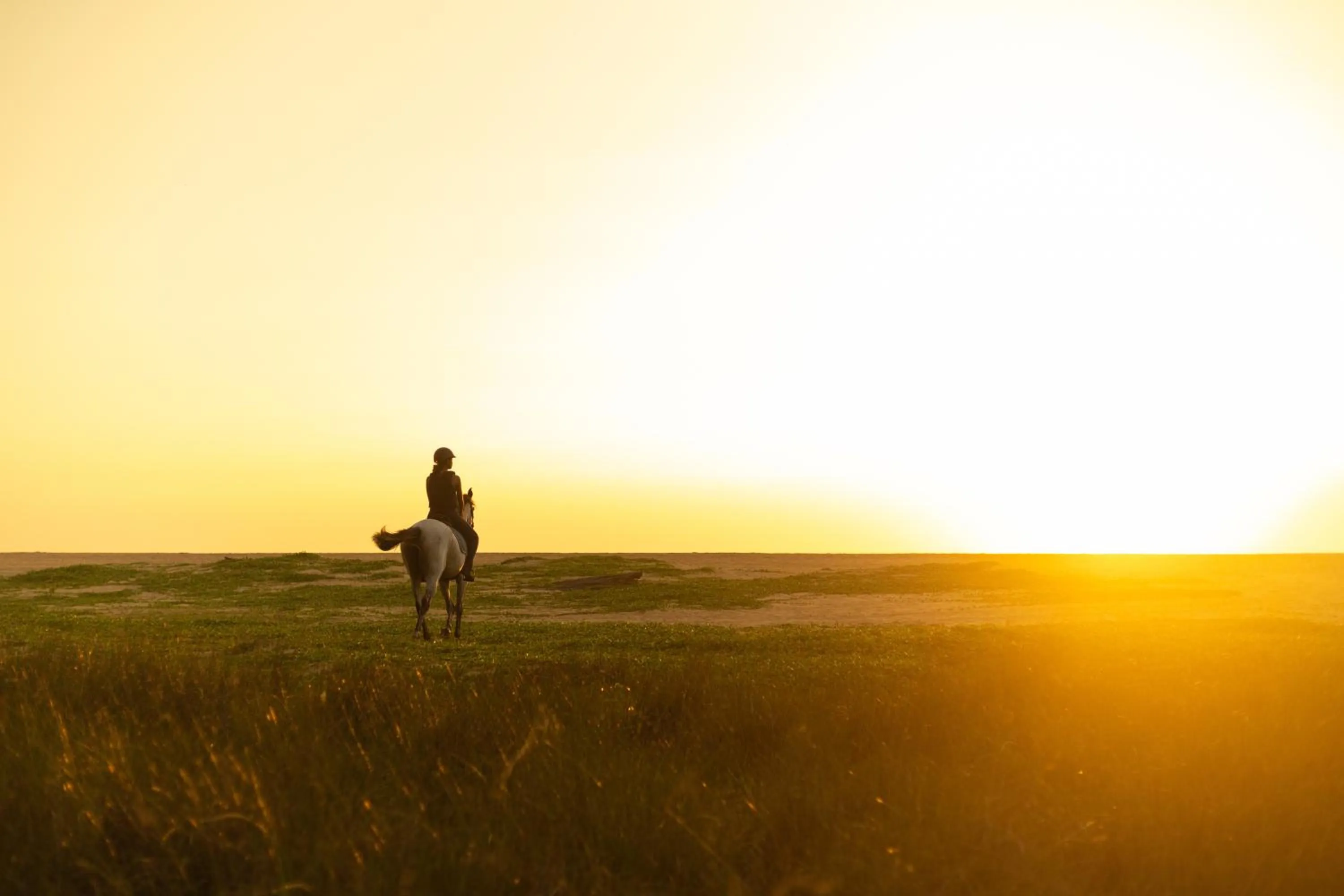 Day in Elements Beach & Nature Resort