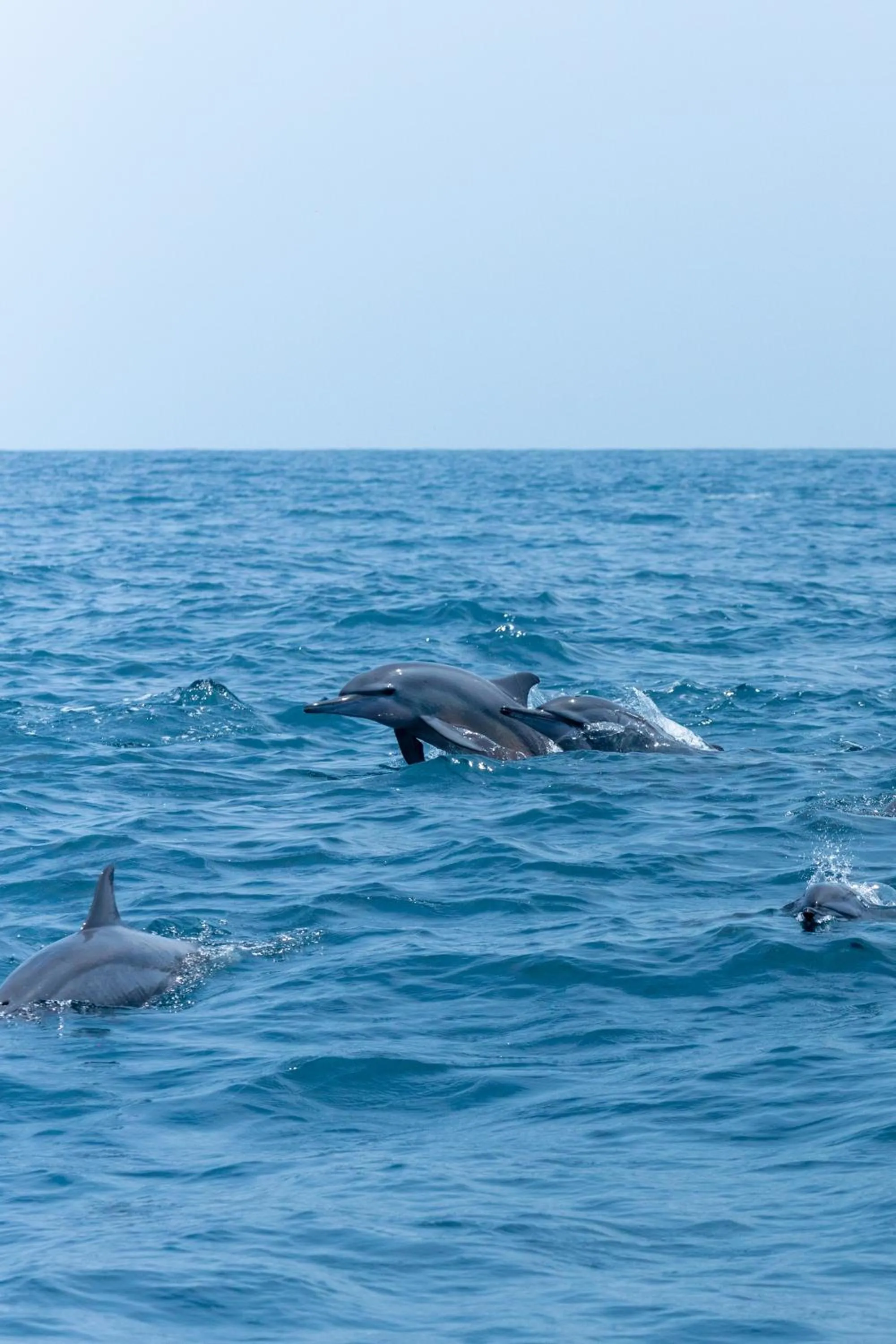 Natural landscape in Elements Beach & Nature Resort