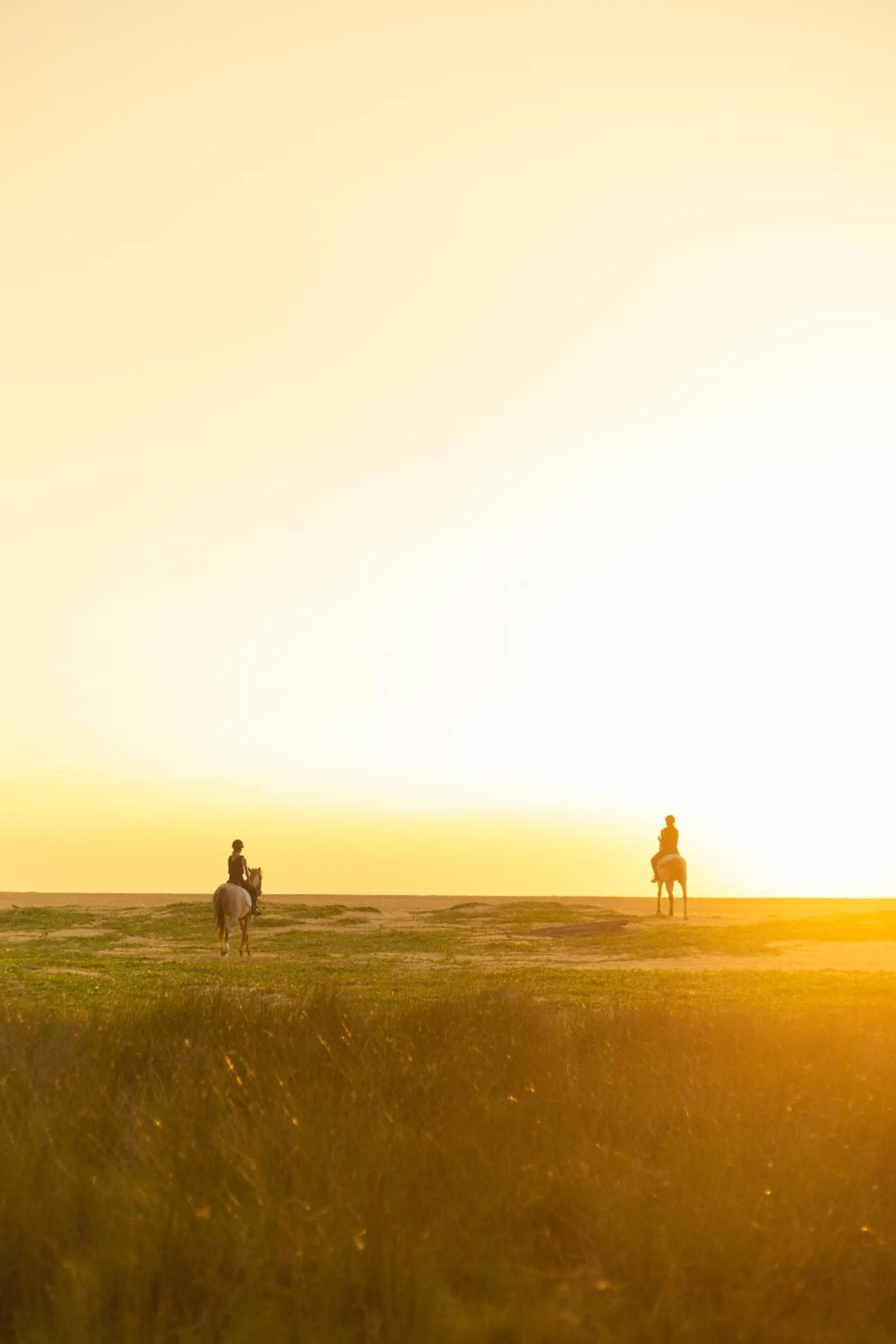 Day in Elements Beach & Nature Resort