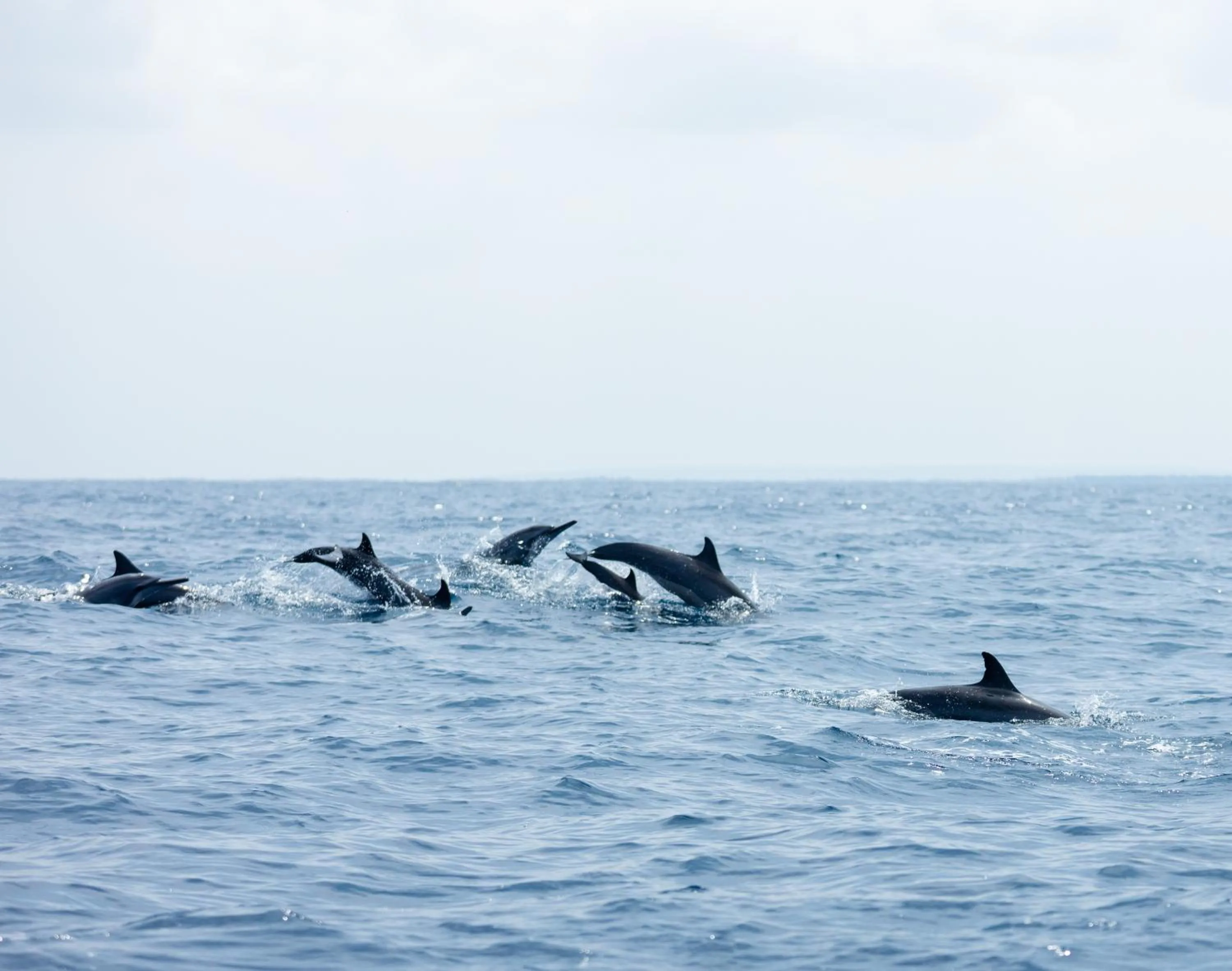 Day in Elements Beach & Nature Resort