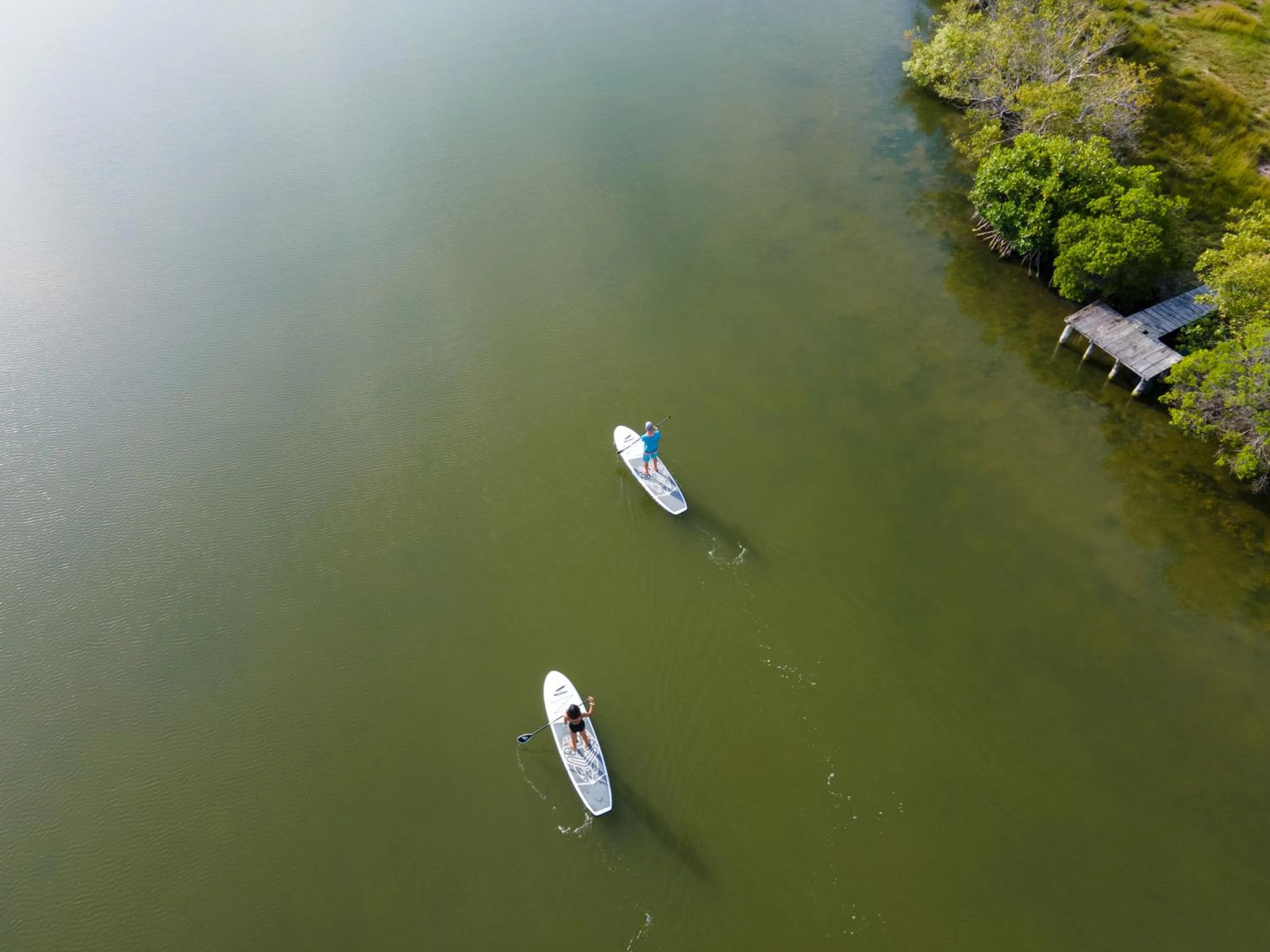 Activities in Elements Beach & Nature Resort