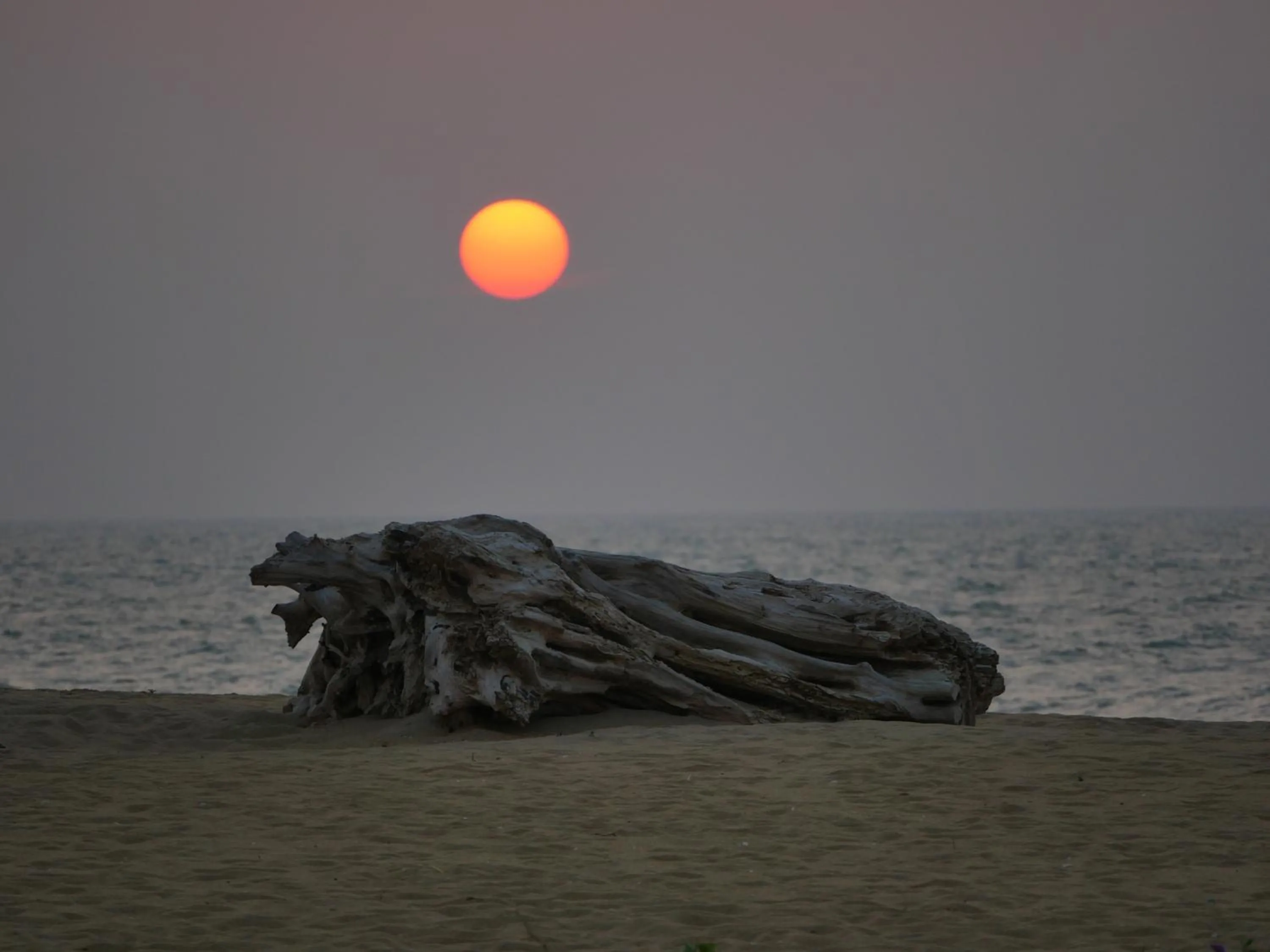 Beach in Elements Beach & Nature Resort