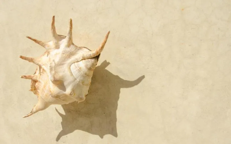 Swimming pool in Elements Beach & Nature Resort