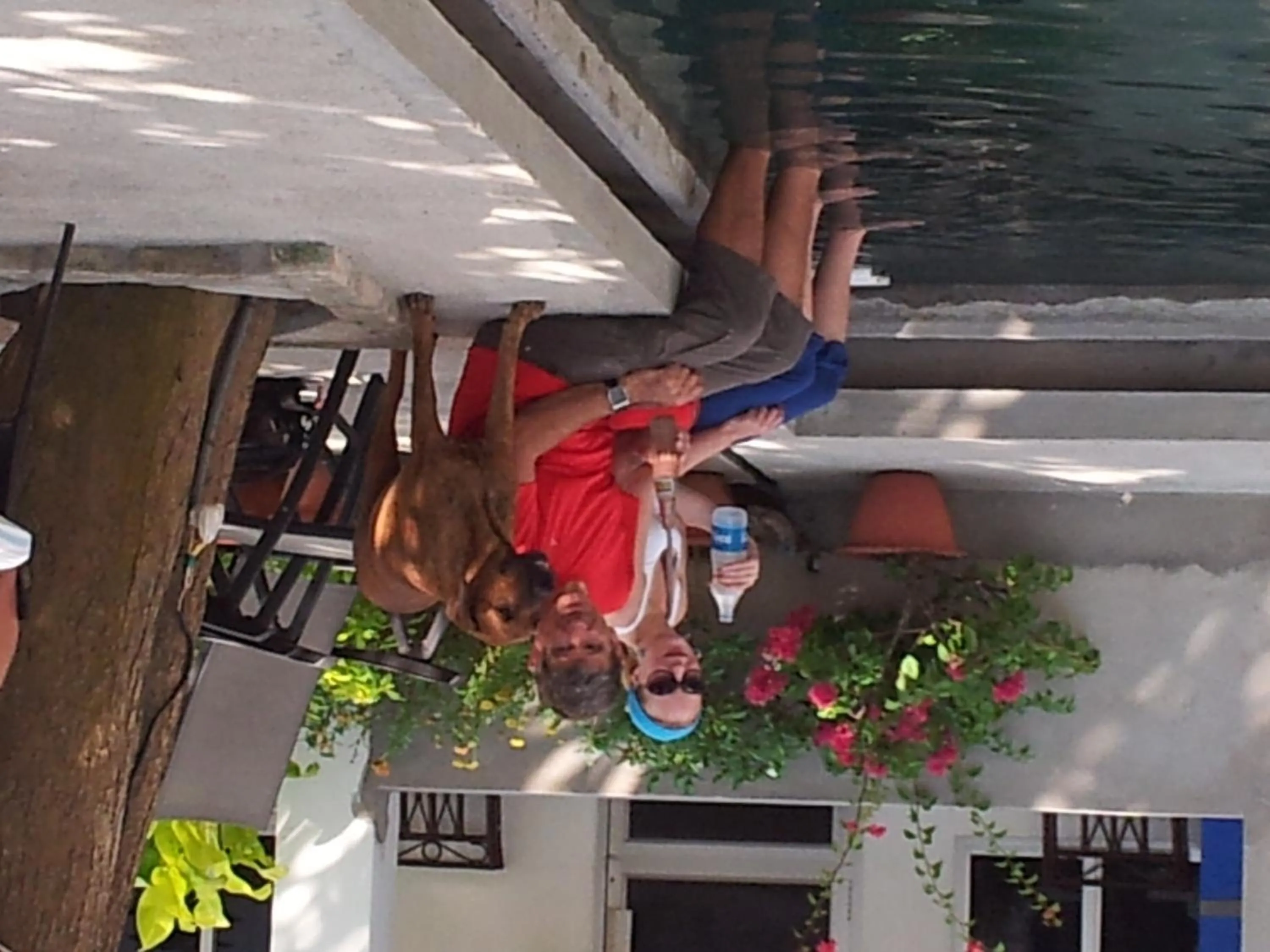 Pets in Hotel Gandhara