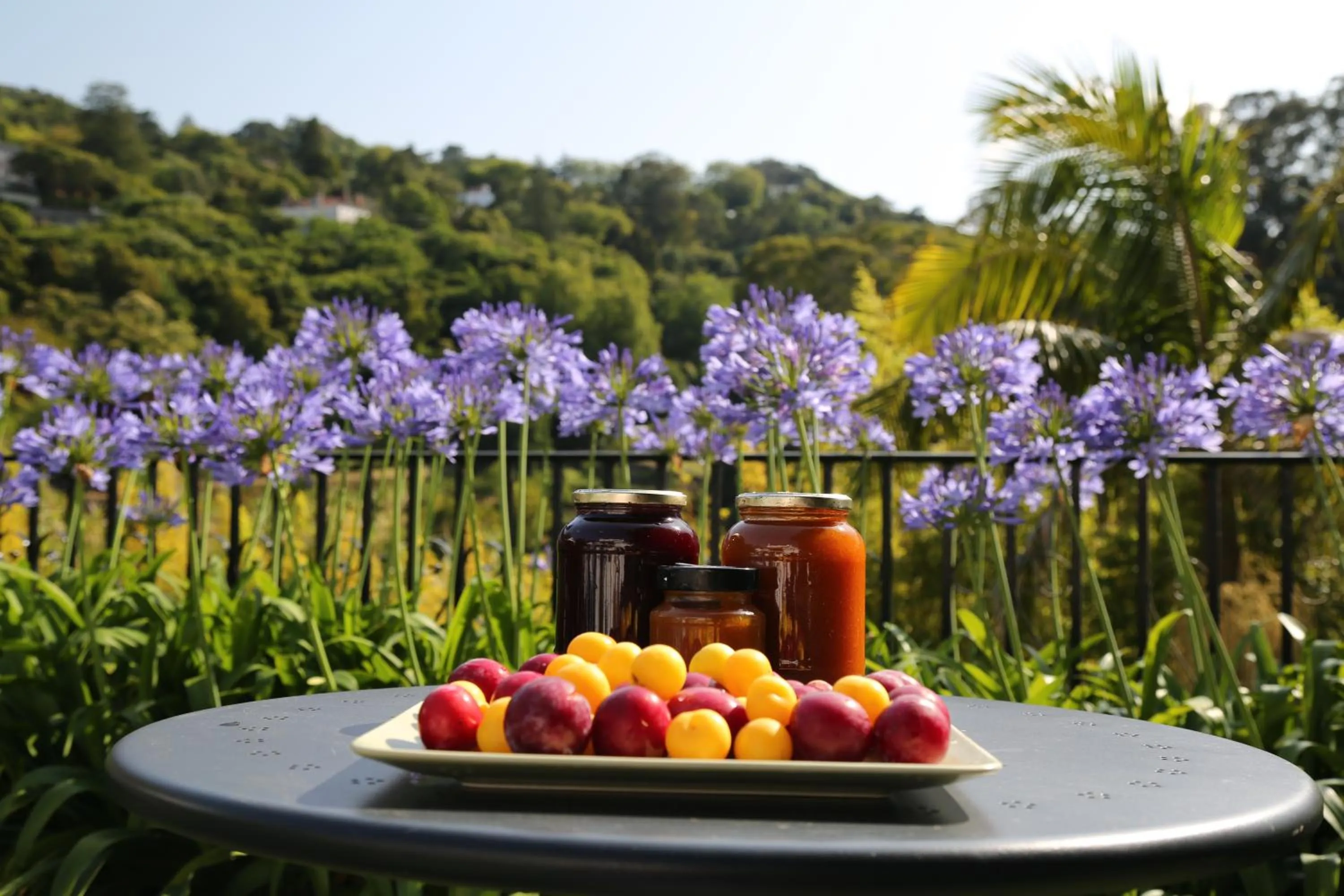 Food and drinks in Casa do Valle