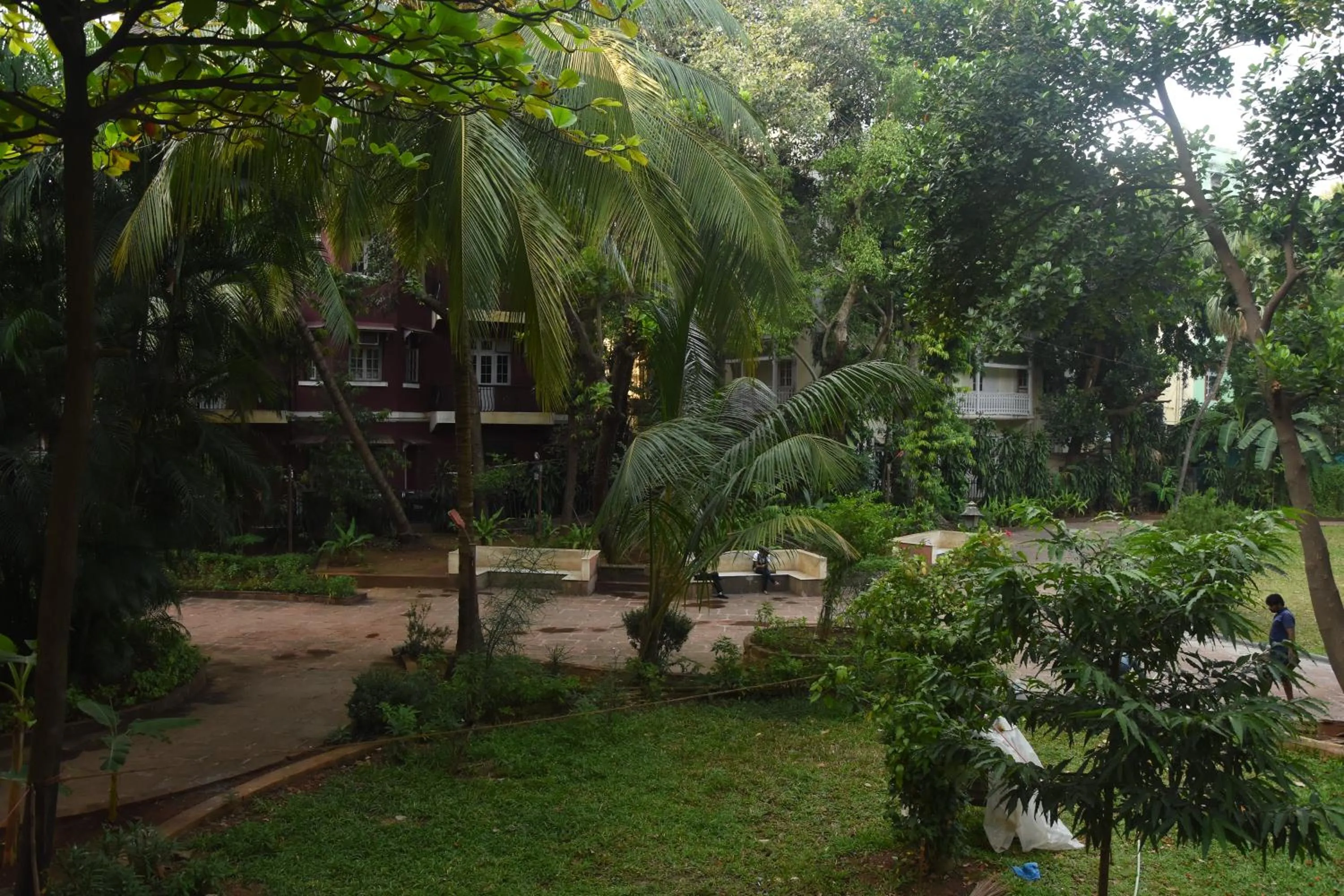 Garden in Hotel Godwin - Colaba