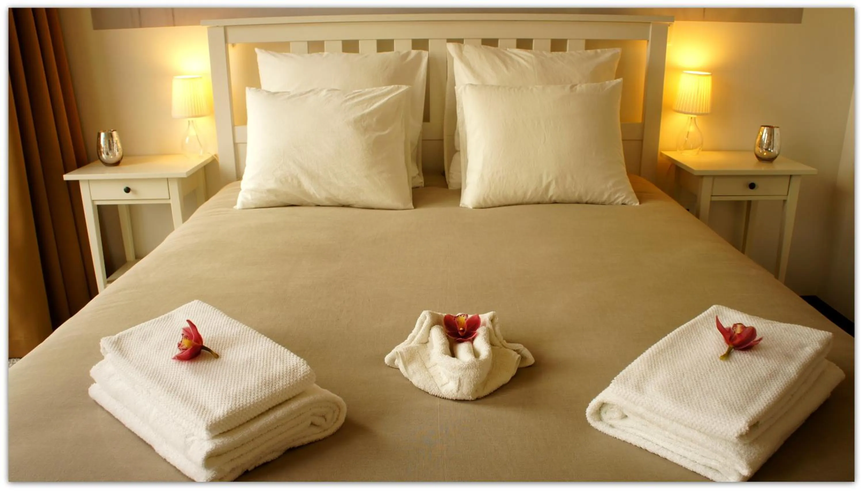 Bed in Hostel Gaia Porto