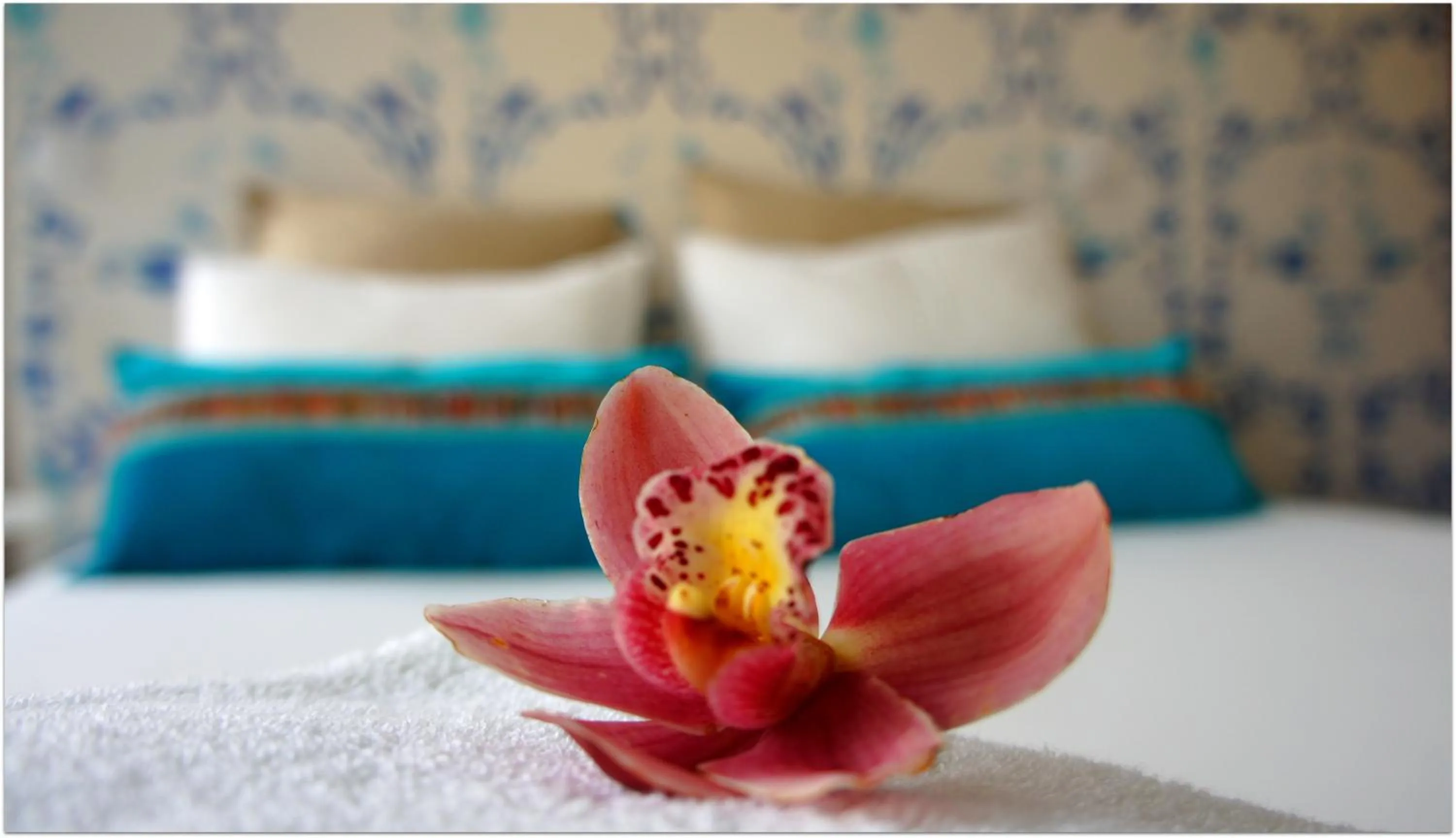 Bed in Hostel Gaia Porto