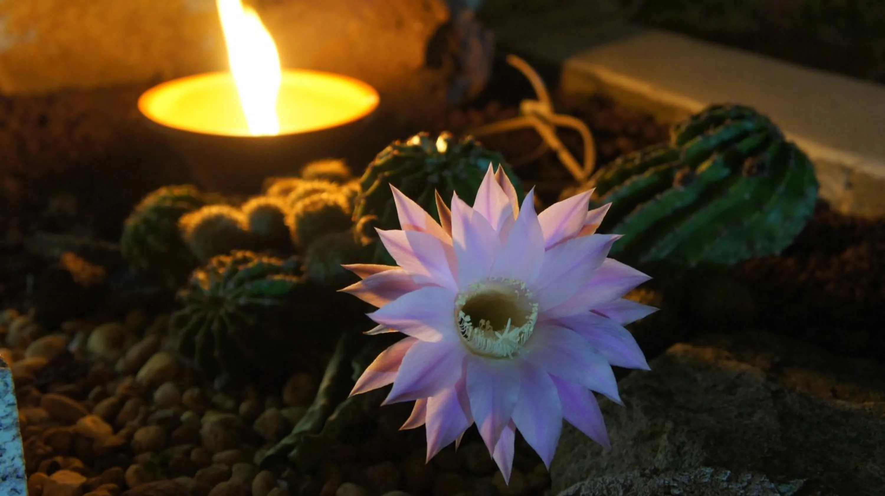 Night in Hostel Gaia Porto