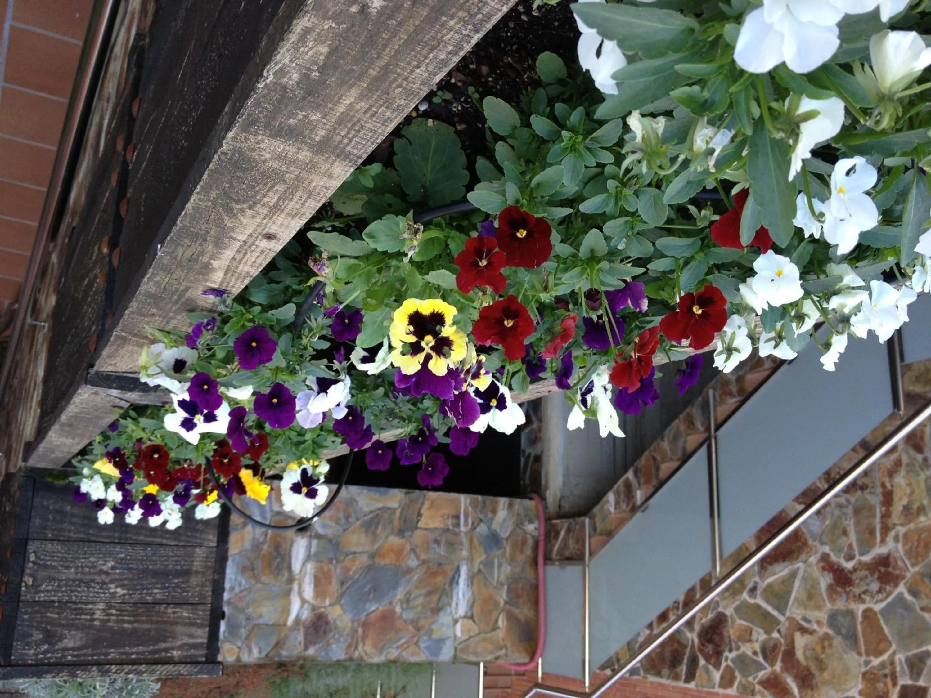 Other in Aparthotel del Golf