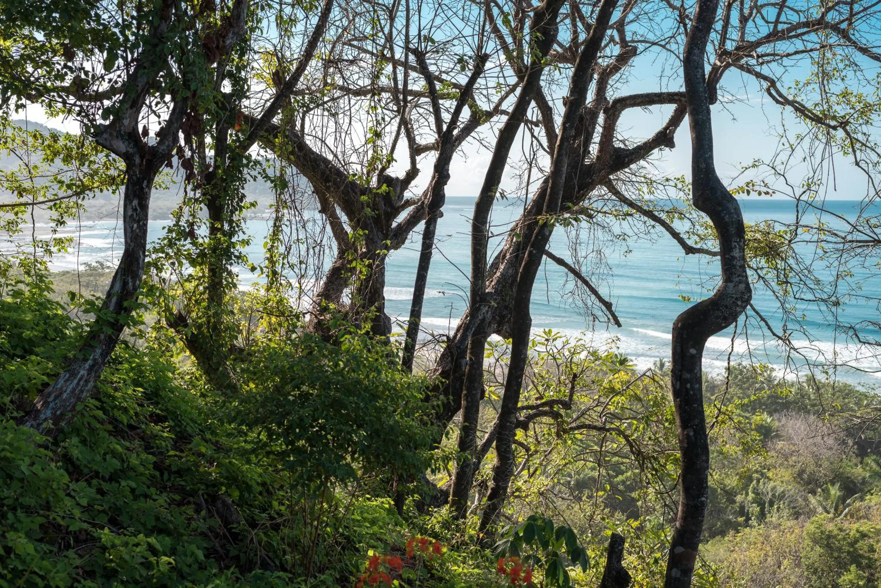 View (from property/room) in Vista del Alma Boutique - Adult Only