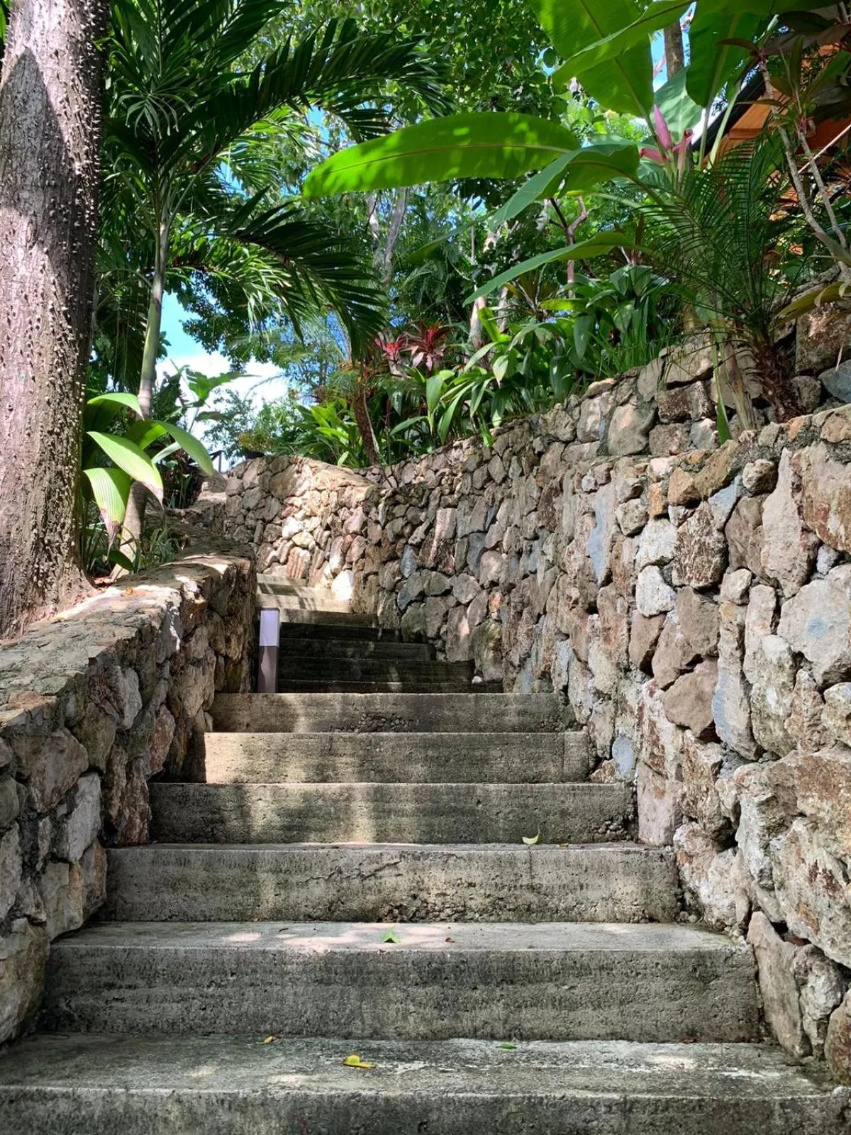 Garden in Vista del Alma Boutique - Adult Only