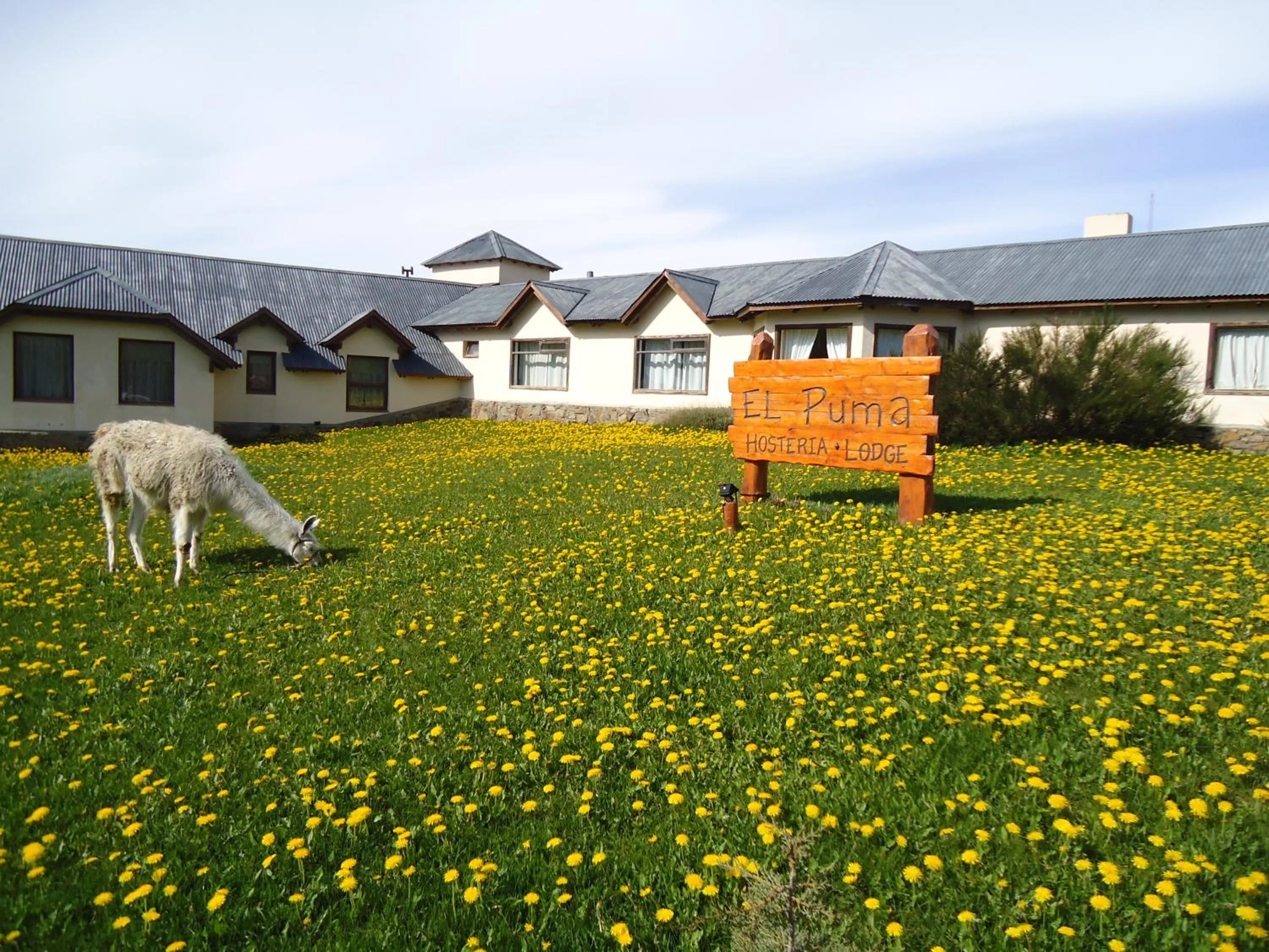 Garden in Hosteria El Puma