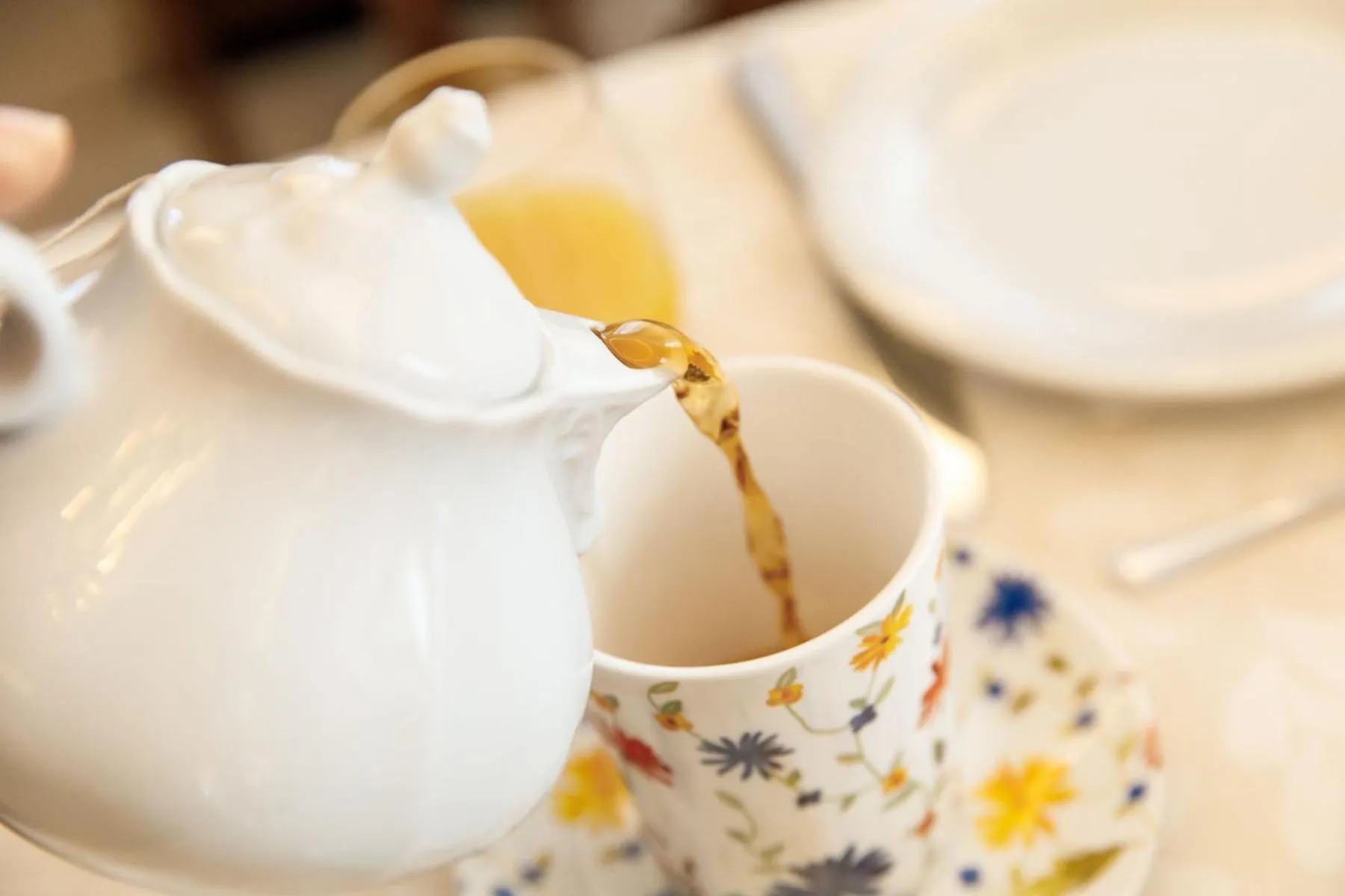 Food and drinks in Albergo Belvedere