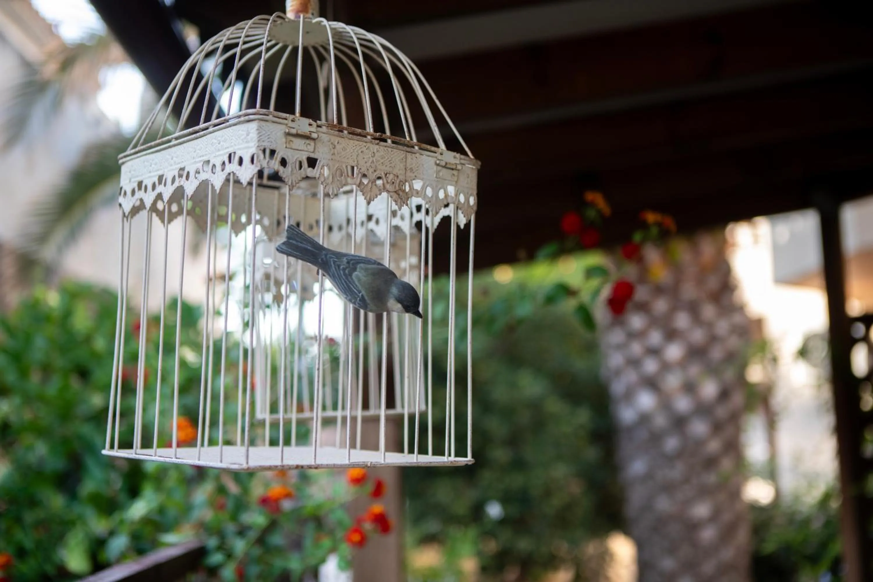 Property building in Galini Hotel