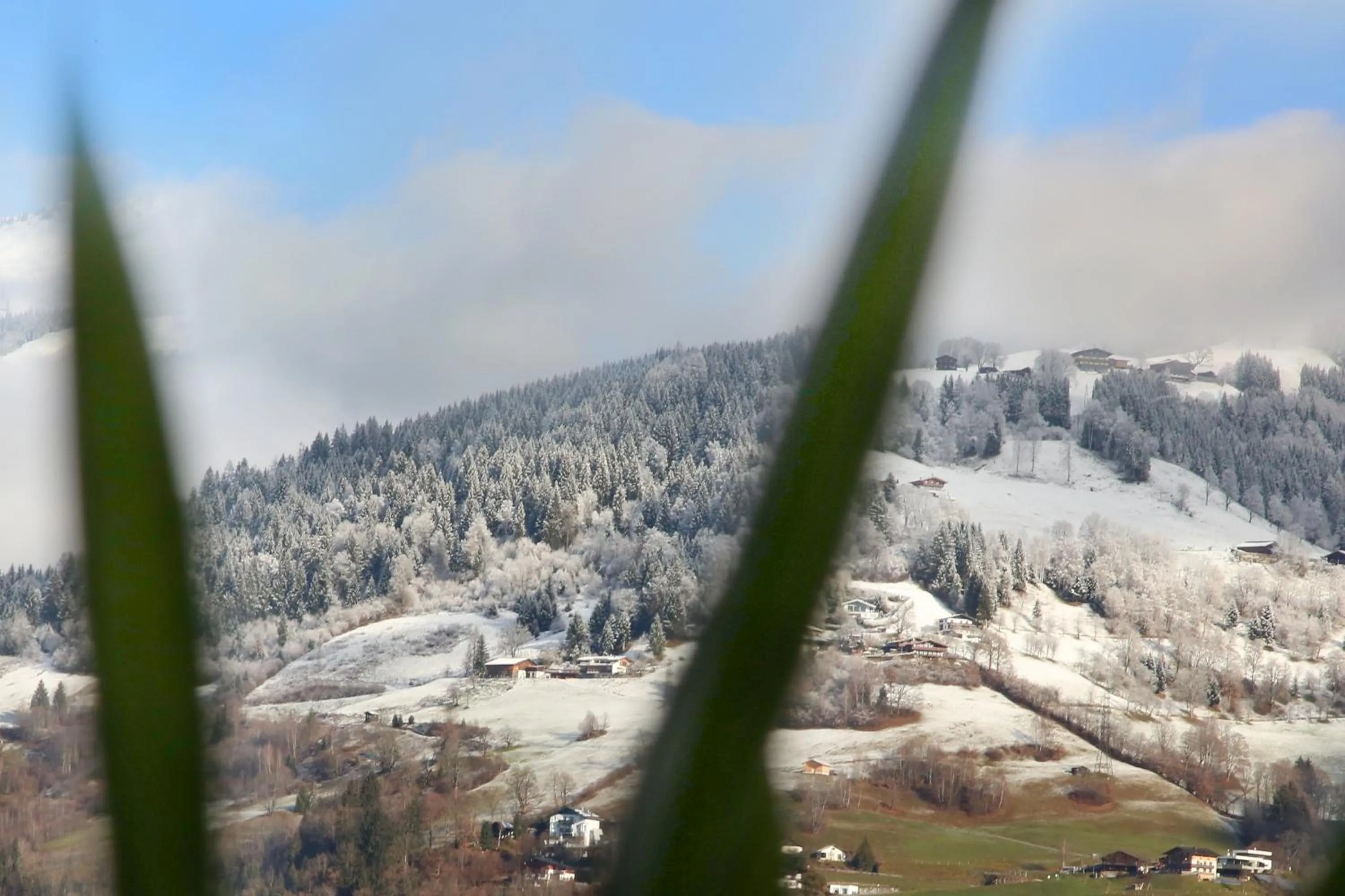 View (from property/room) in Alm Appartements ZellamSee