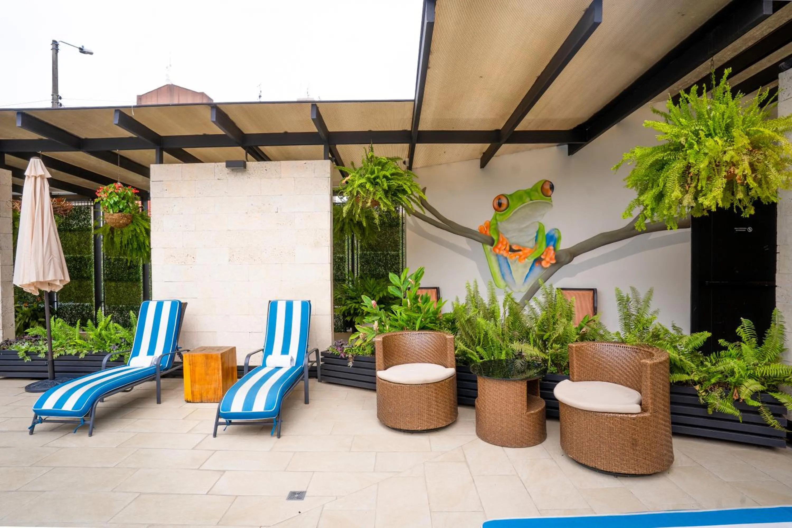 sunbed in KC Hotel San Jose