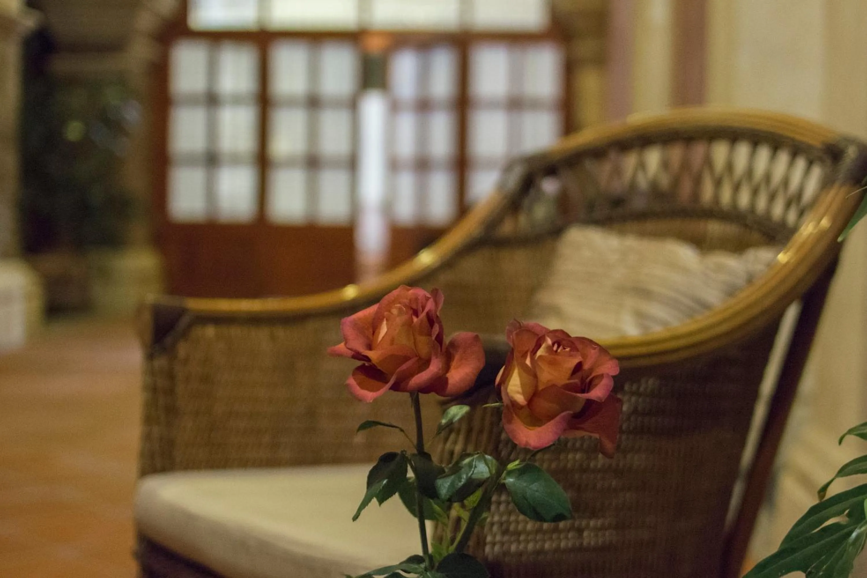Patio in Quinta Luna