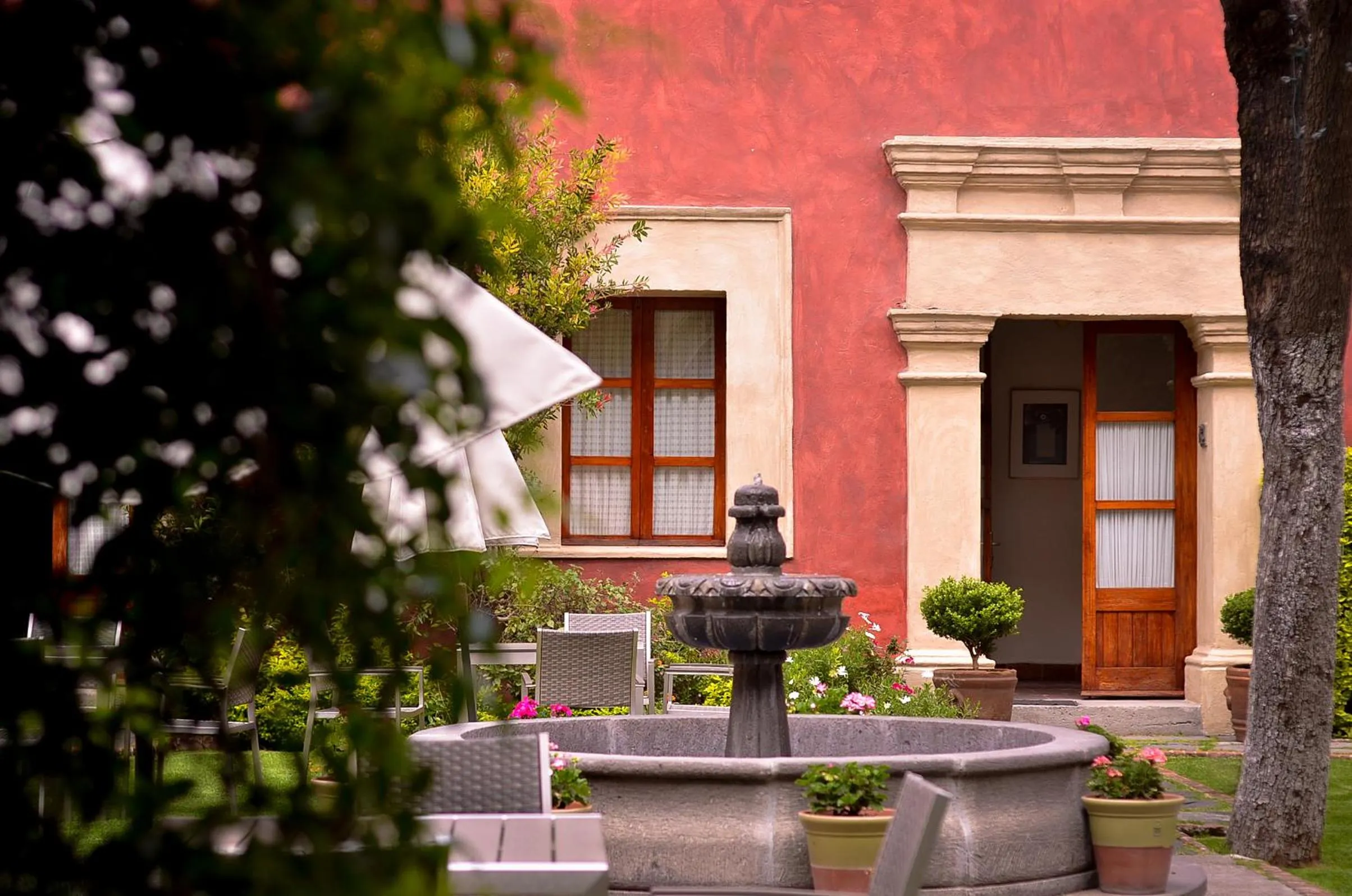 Spring in Quinta Luna