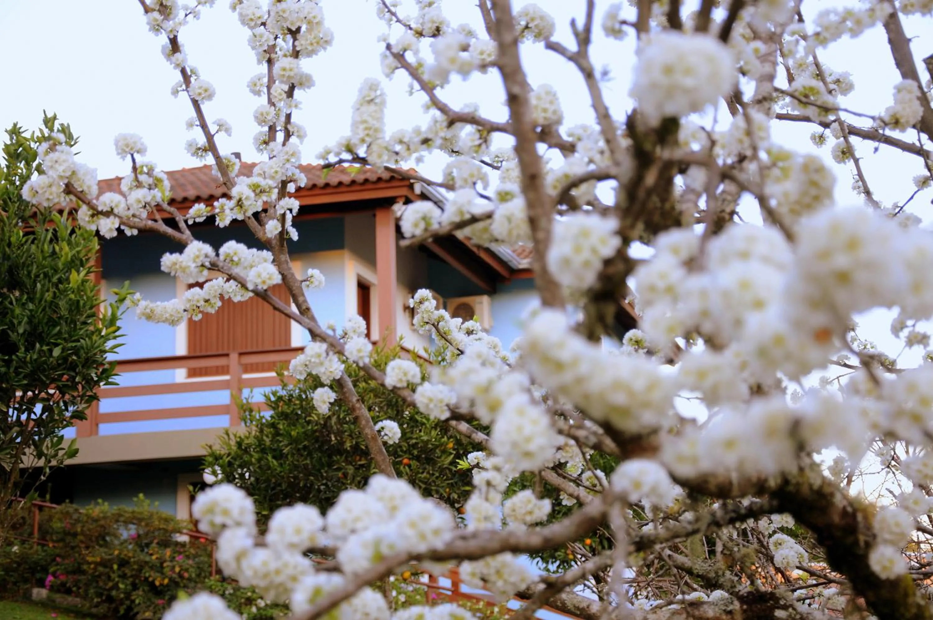 Garden in Hotel Bangalôs da Serra