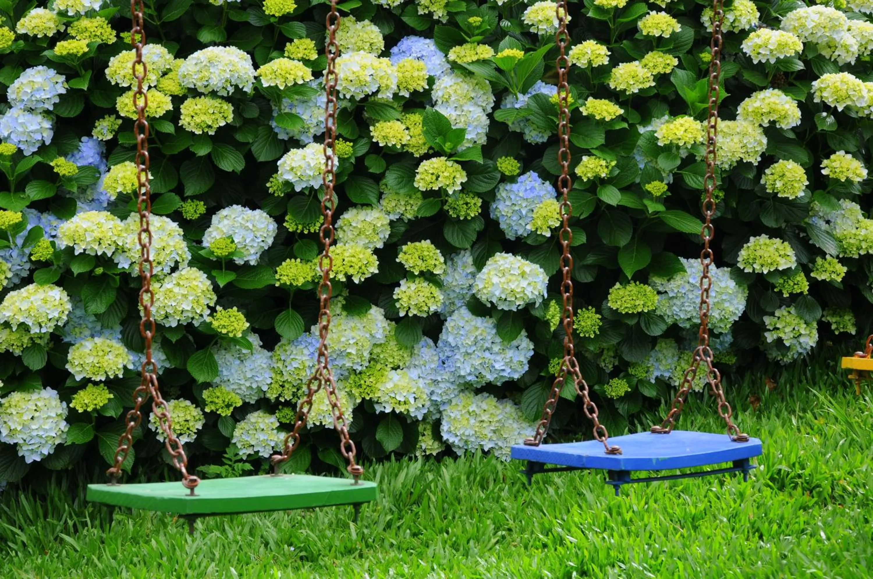 Children play ground in Hotel Bangalôs da Serra