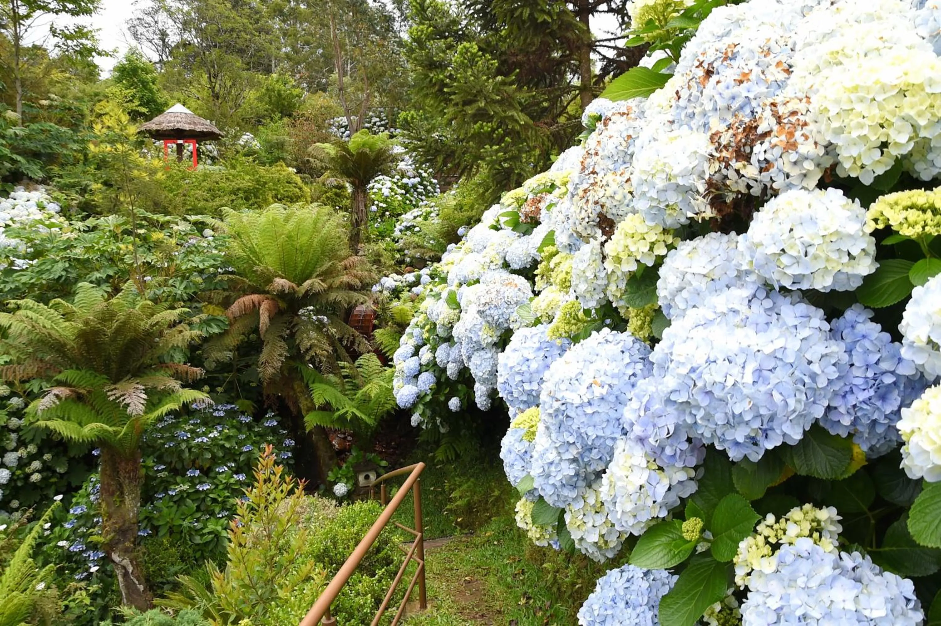 Garden in Hotel Bangalôs da Serra