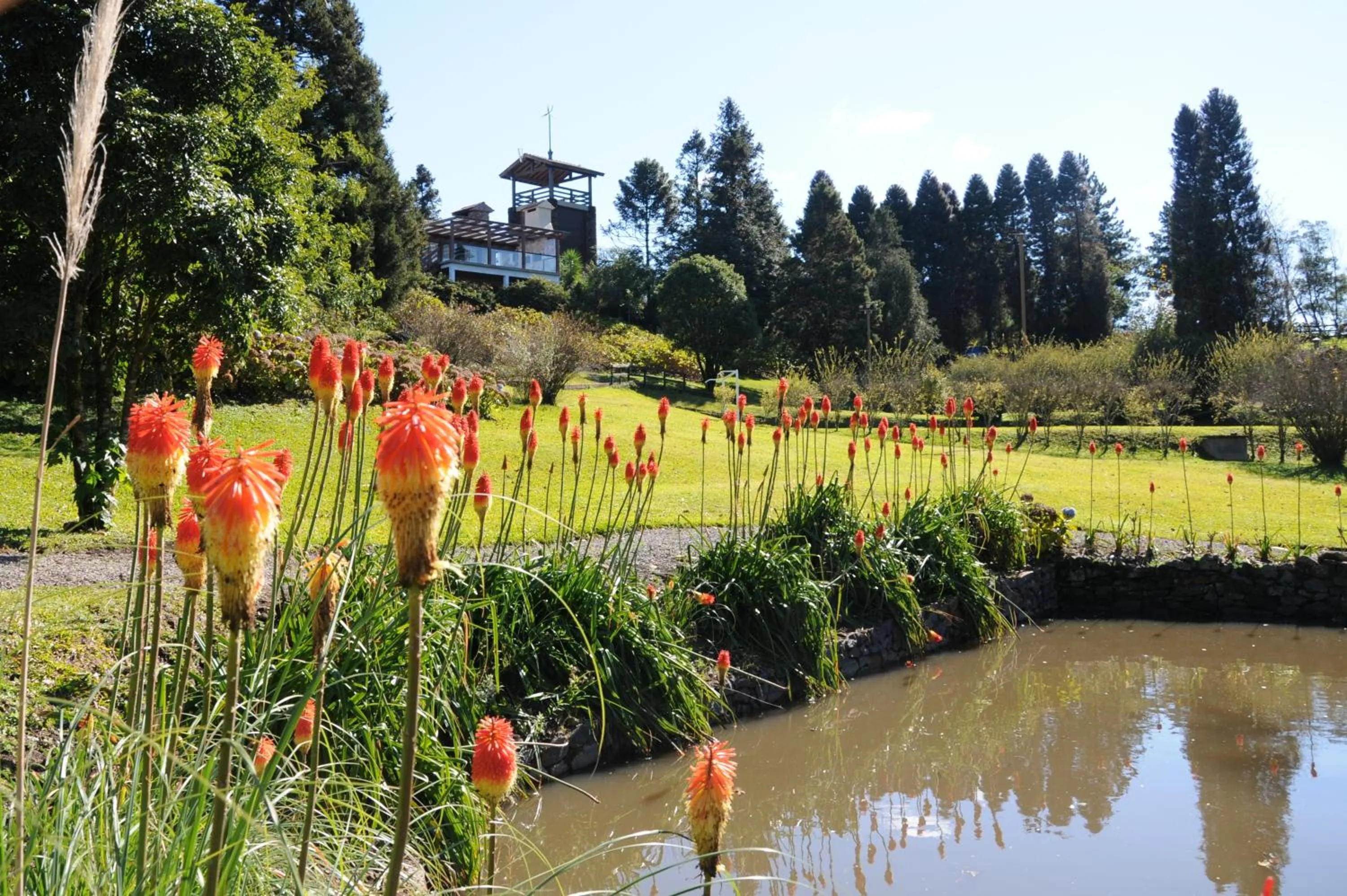 Garden in Hotel Bangalôs da Serra