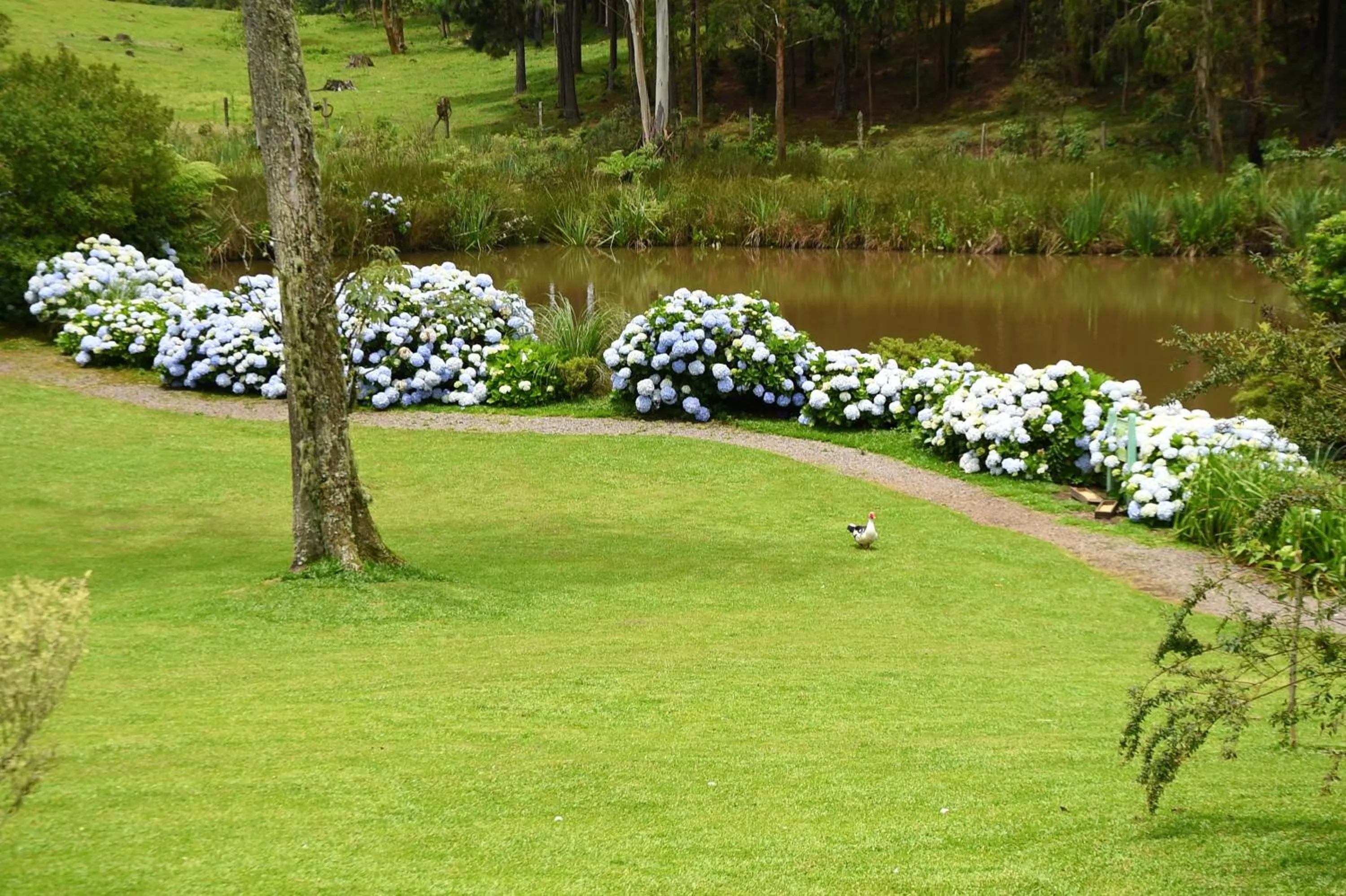 Garden in Hotel Bangalôs da Serra