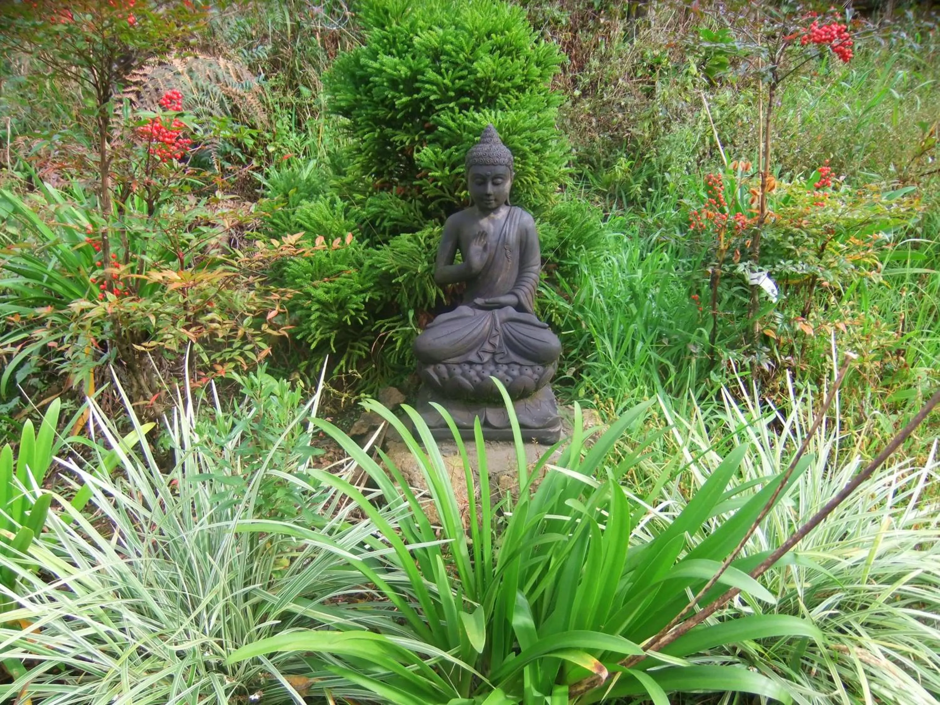 Garden in Hotel Bangalôs da Serra