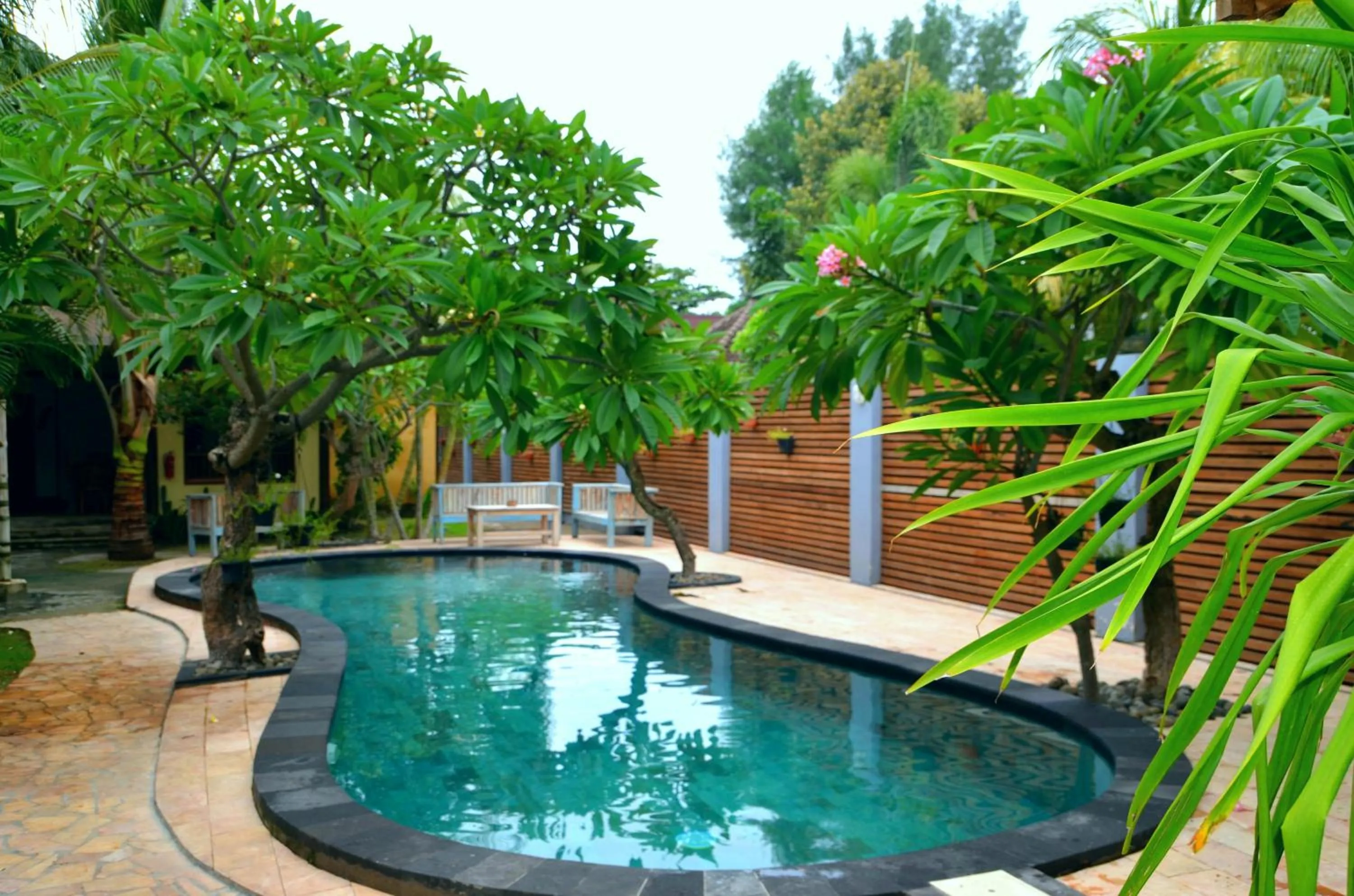 Swimming pool in Coconut Dream