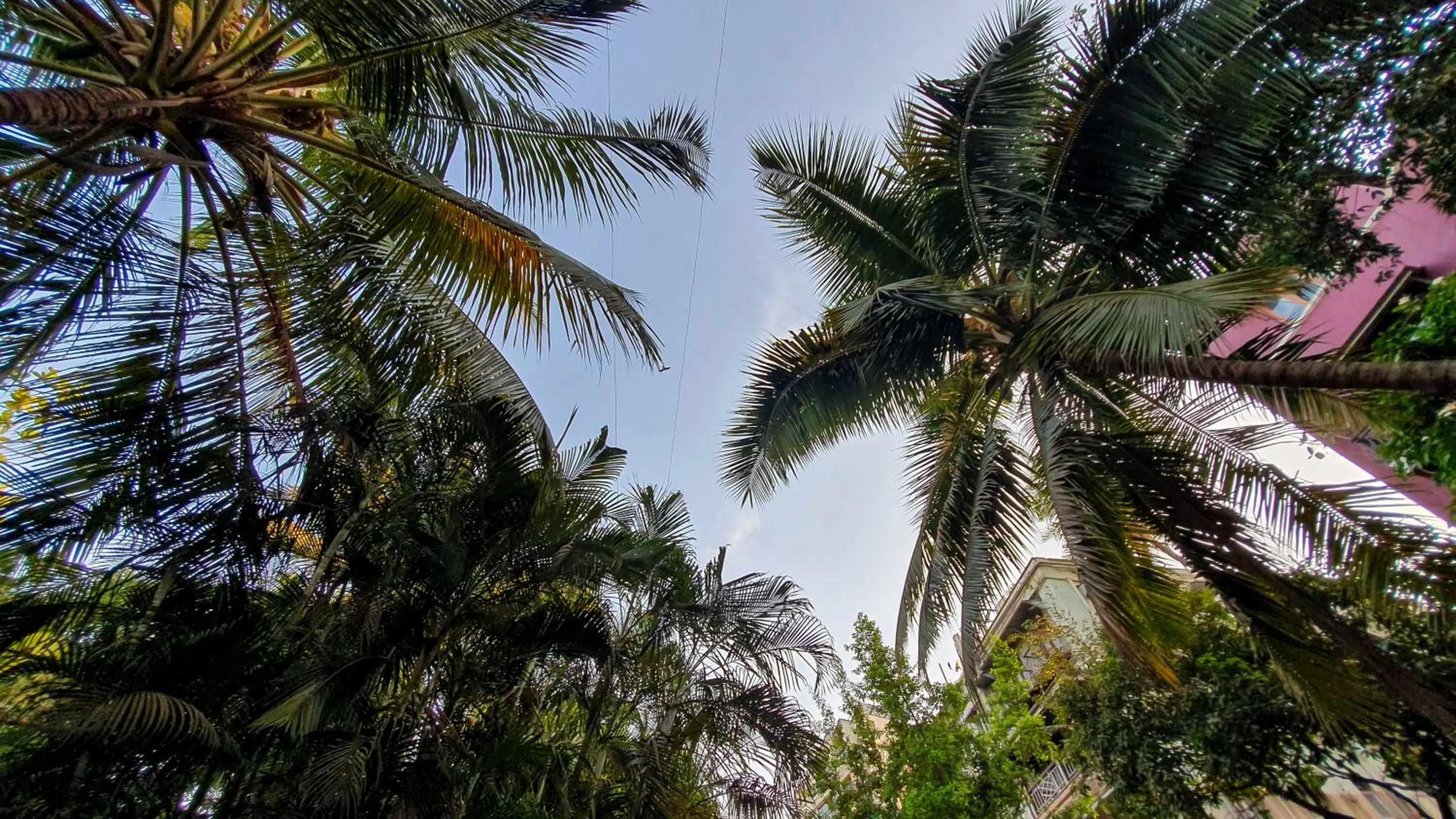 Natural landscape in Garden Hotel