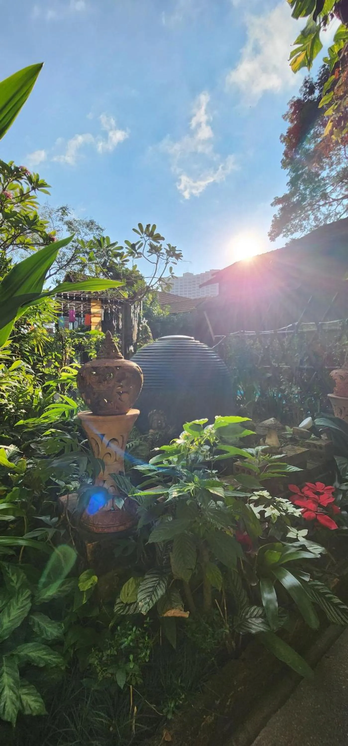 Garden view in Club One Seven Gaymen Chiang Mai