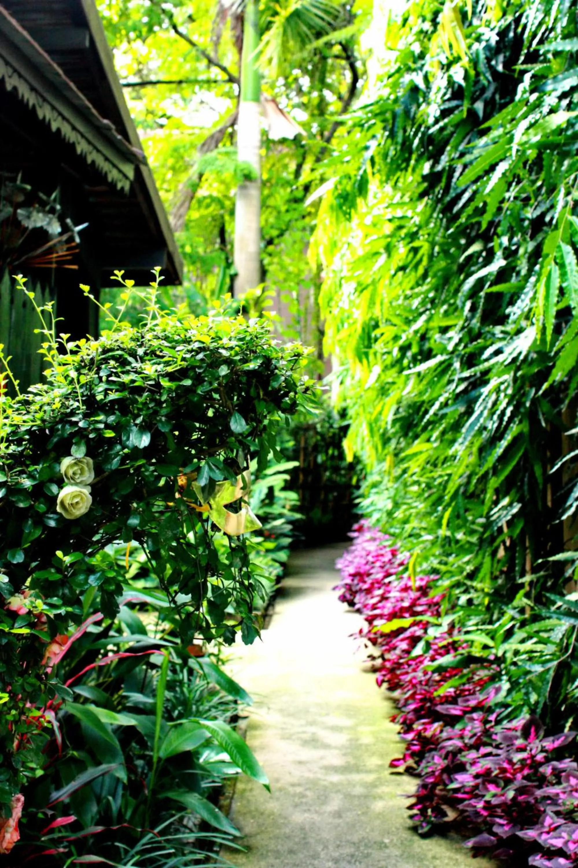 Property building in Club One Seven Gaymen Chiang Mai