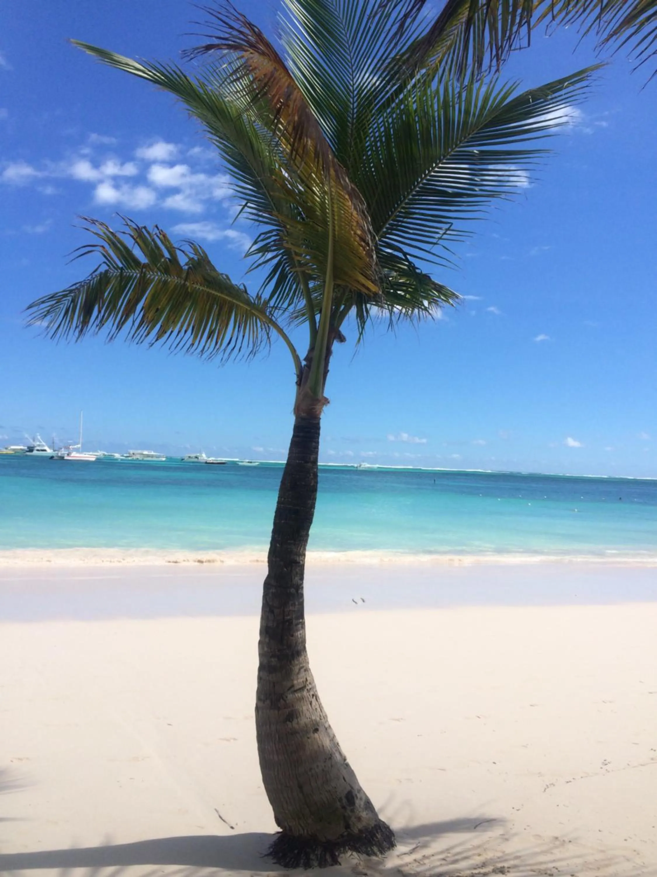 Villas Chiara Punta Cana