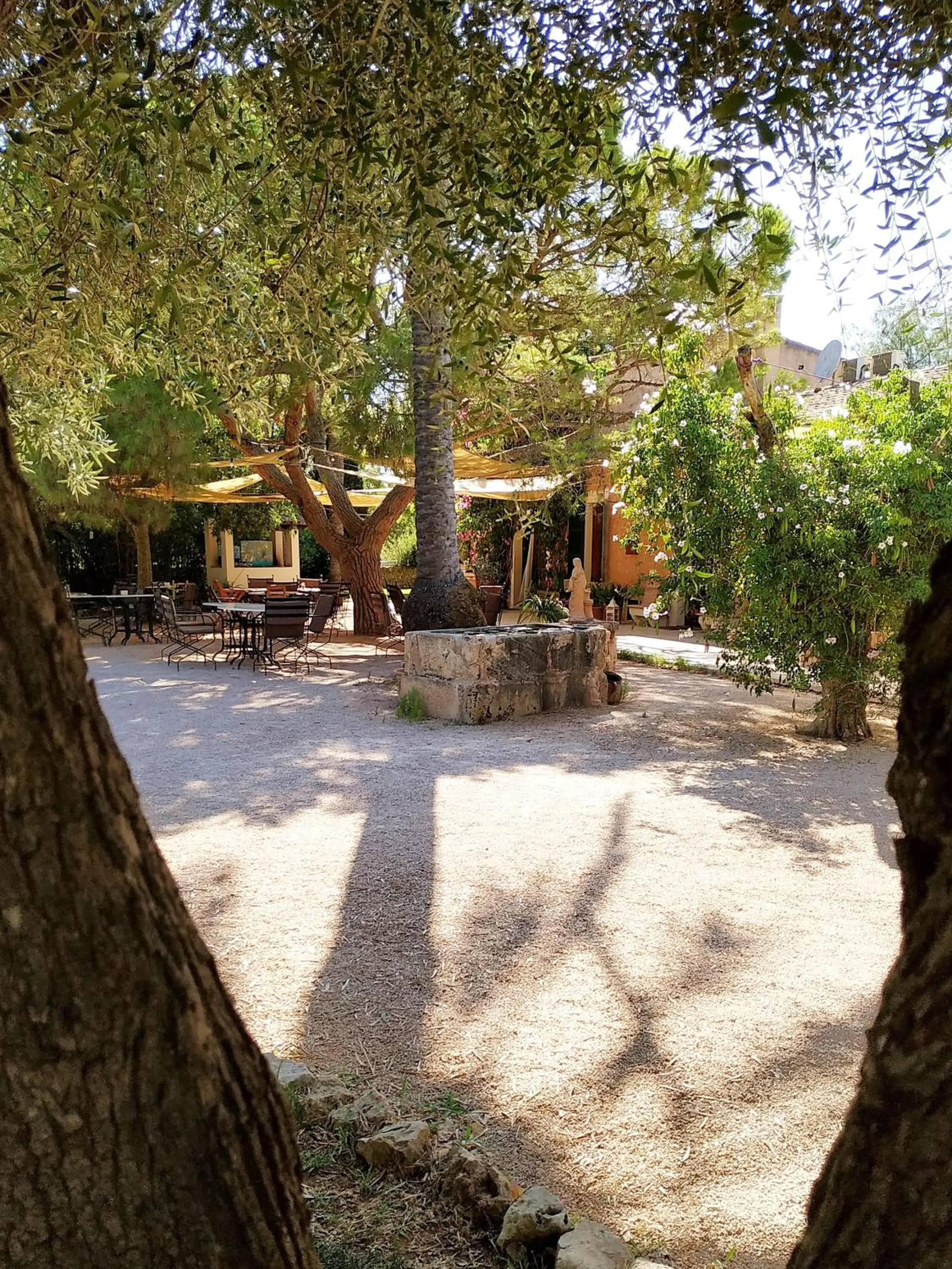Patio in Petit Hotel Es Figueral