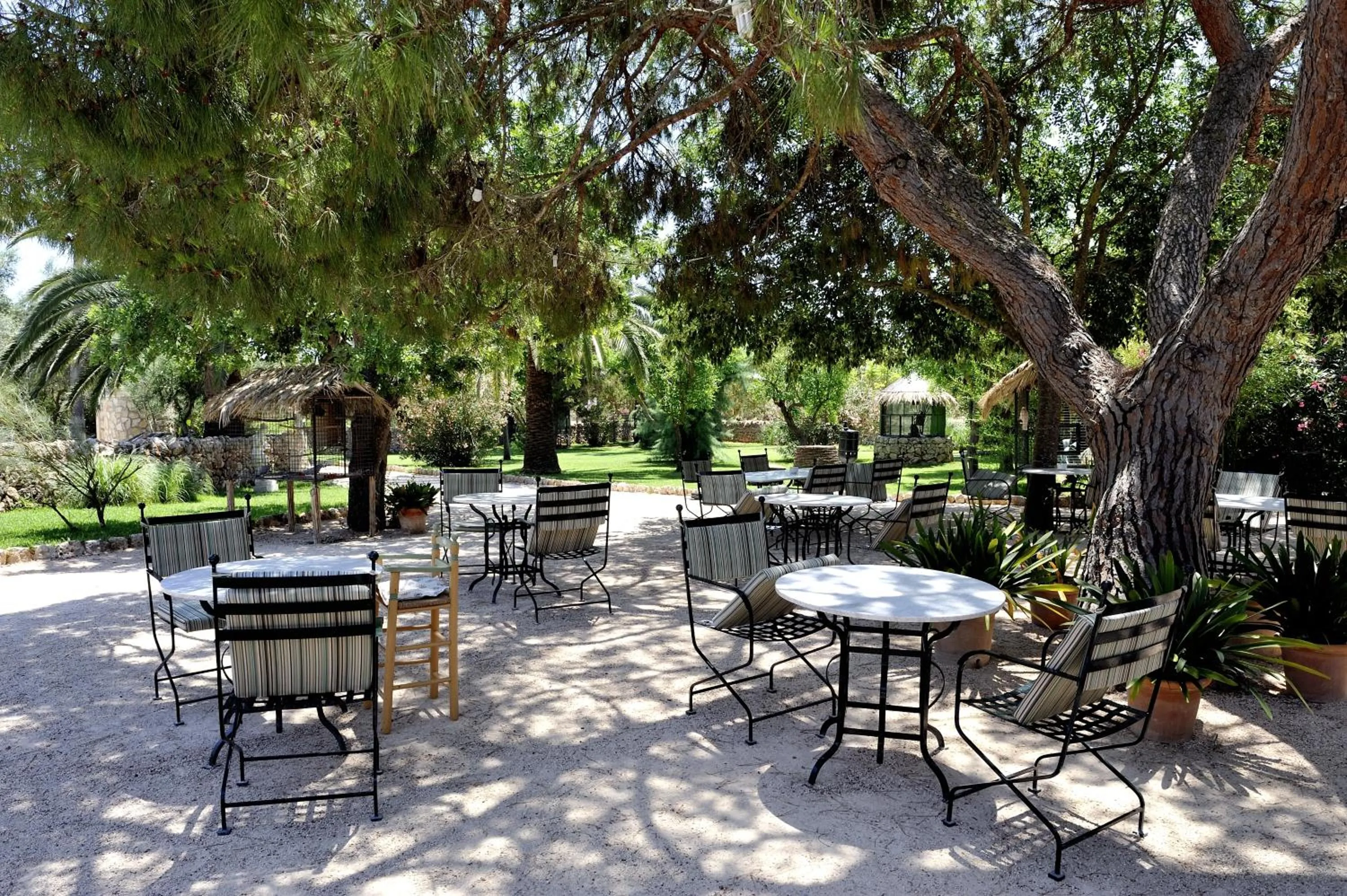 Patio in Petit Hotel Es Figueral