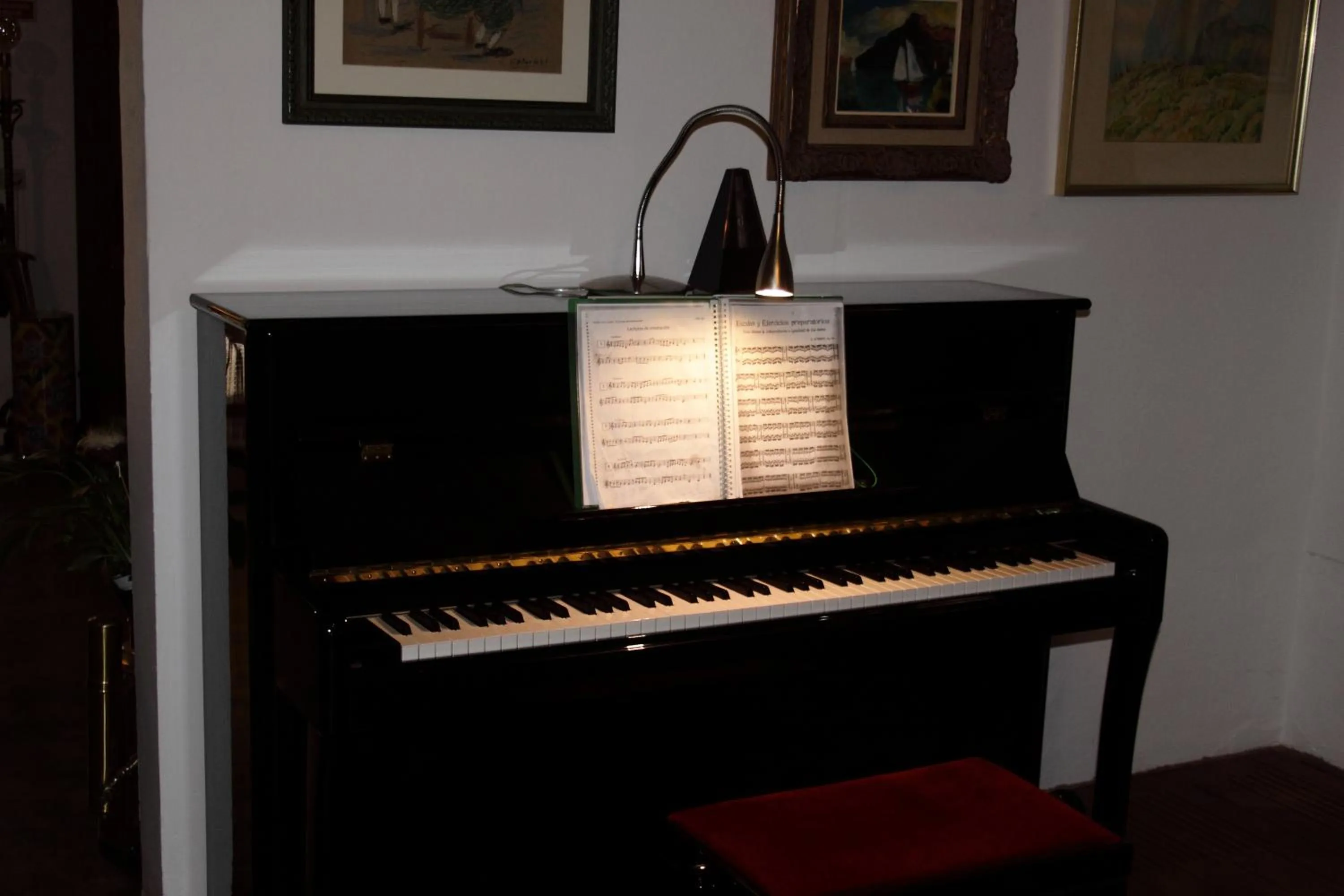 Activities in Petit Hotel Es Figueral