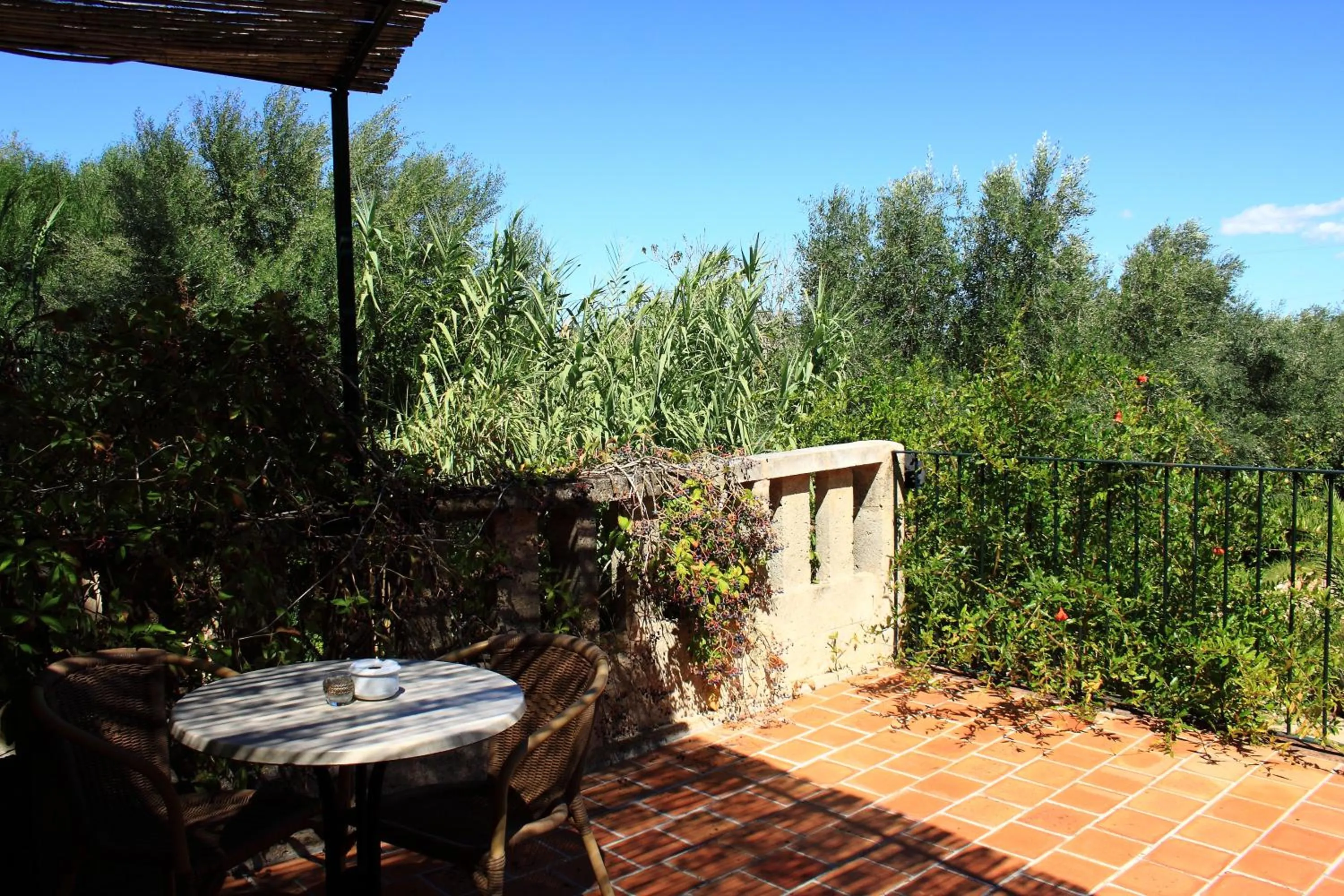 Balcony/Terrace in Petit Hotel Es Figueral