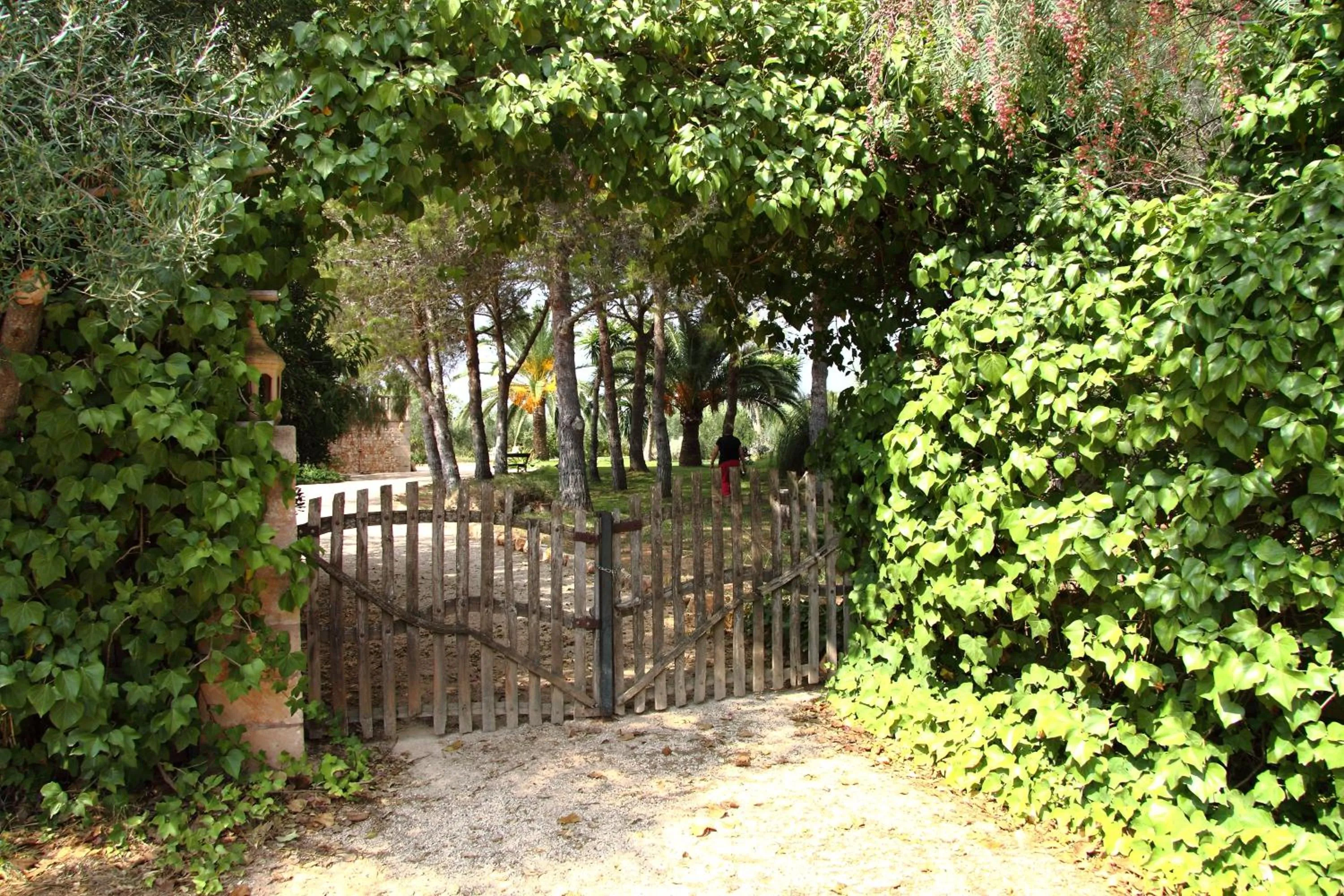 Garden in Petit Hotel Es Figueral