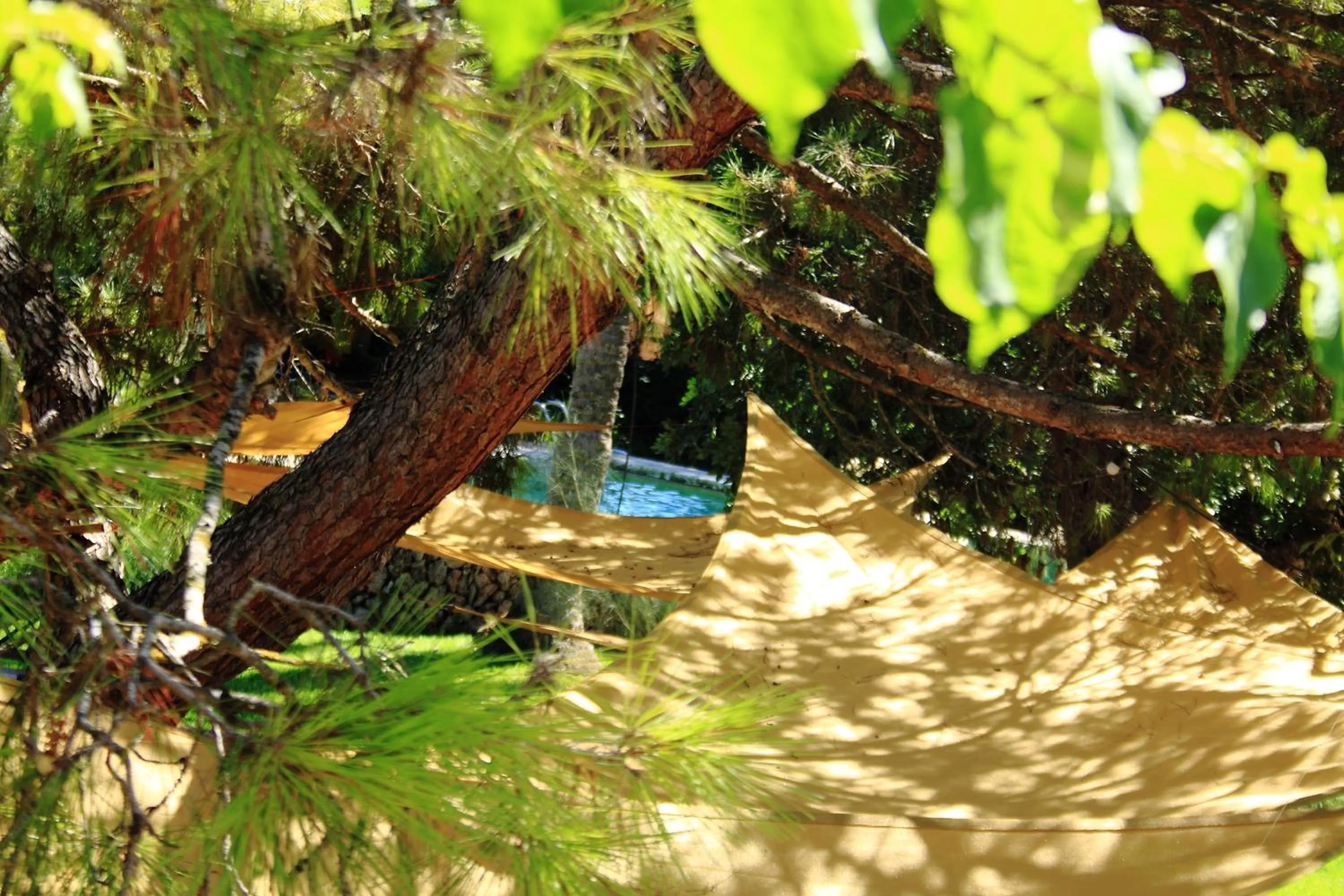 Garden in Petit Hotel Es Figueral