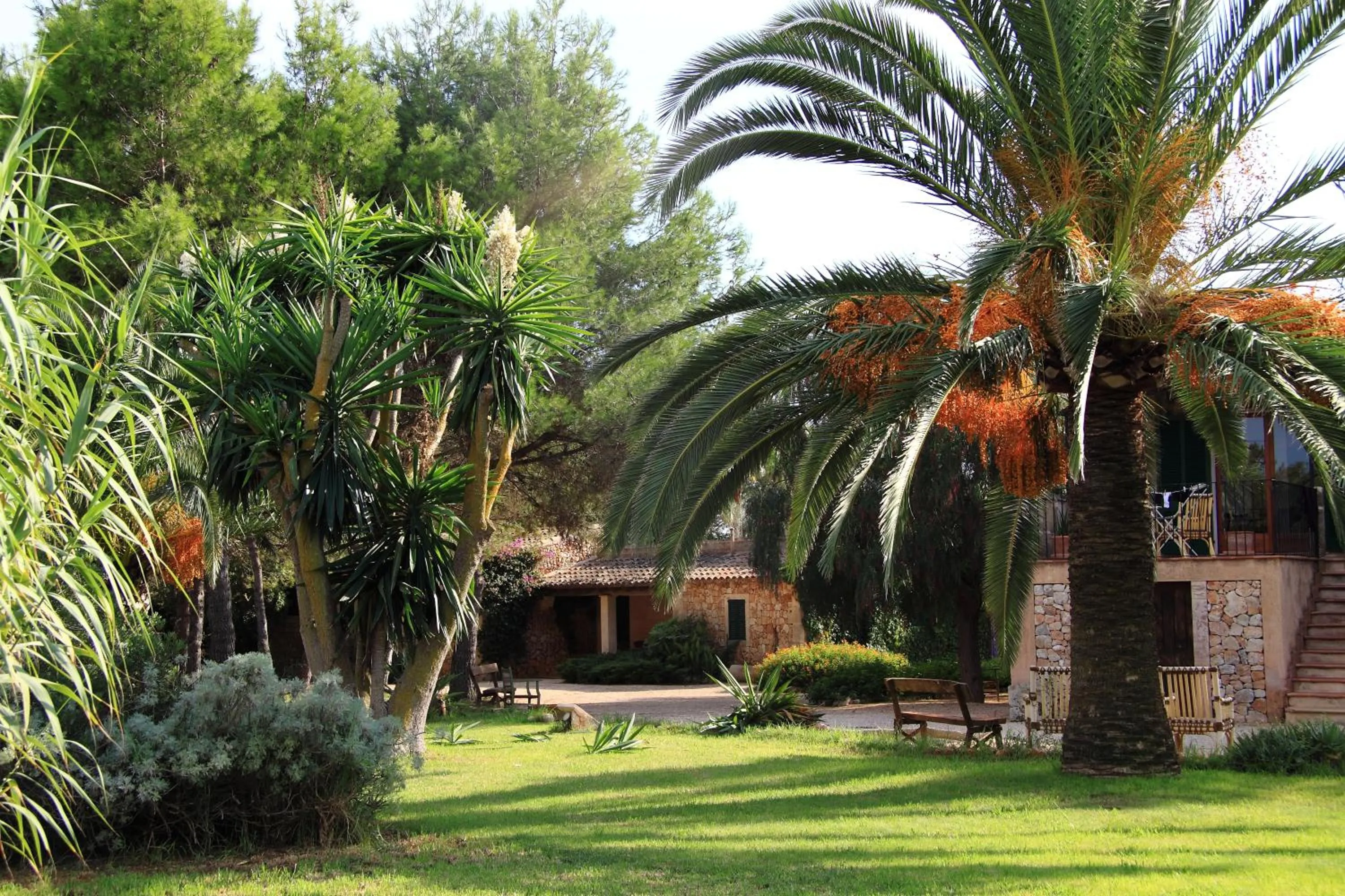 Garden in Petit Hotel Es Figueral