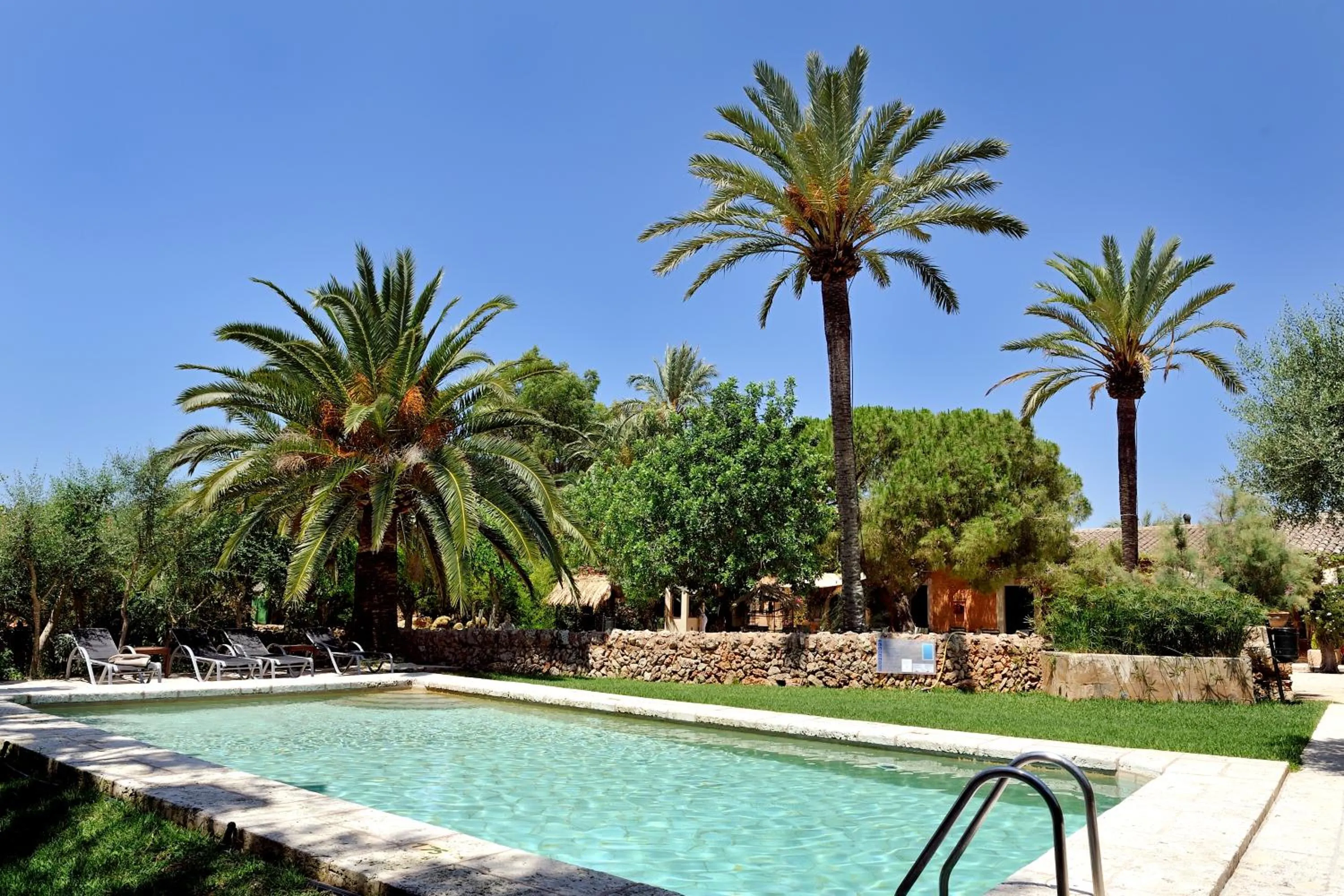 Swimming pool in Petit Hotel Es Figueral